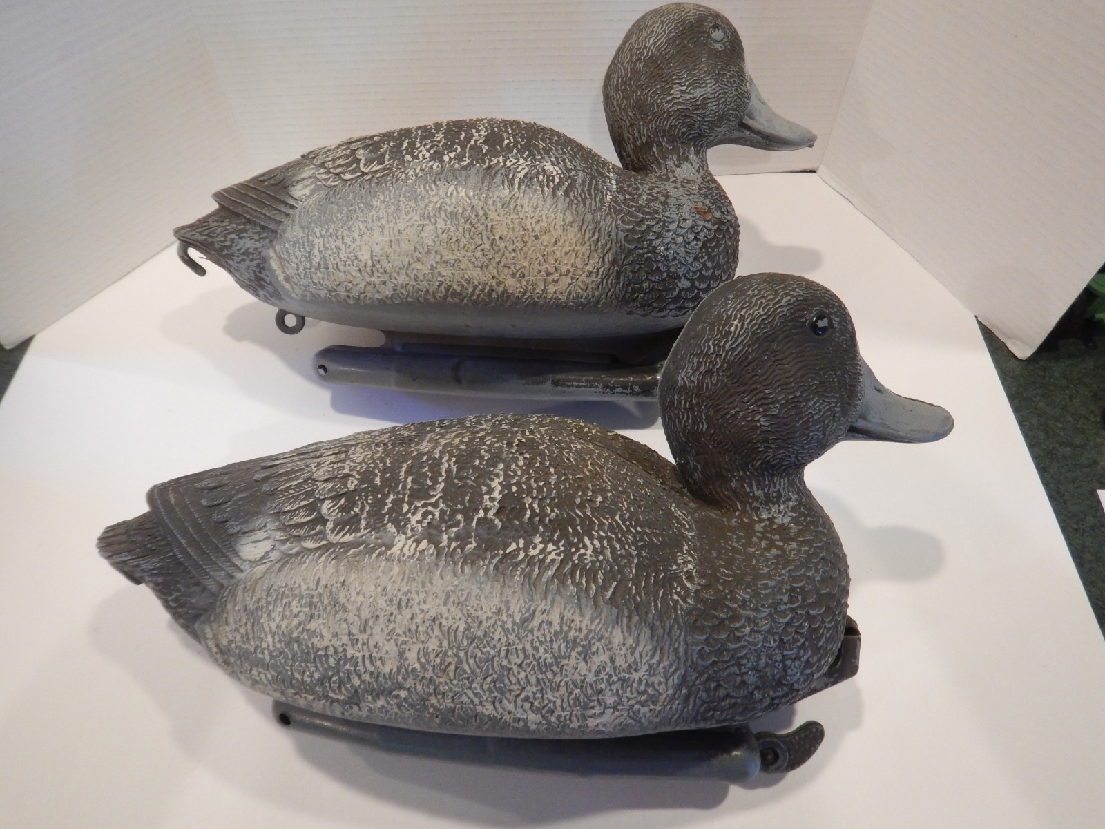 Vintage Sport Plast Bluebill Magnum Decoys Cabin Decor Italy (L28)