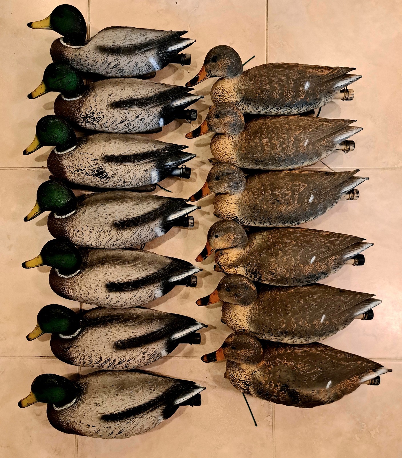 Sport Plast 16″ Mallard Duck Decoys – Lot of 13- 7 Drakes, 6 Hens – Italy -Used