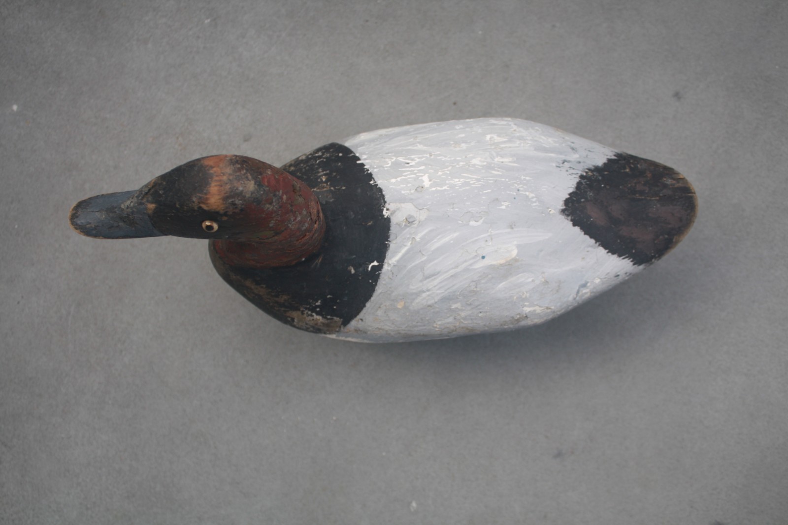 Canvasback Drake, unknown, Chesapeake Bay?, solid wood, high head, repaint.