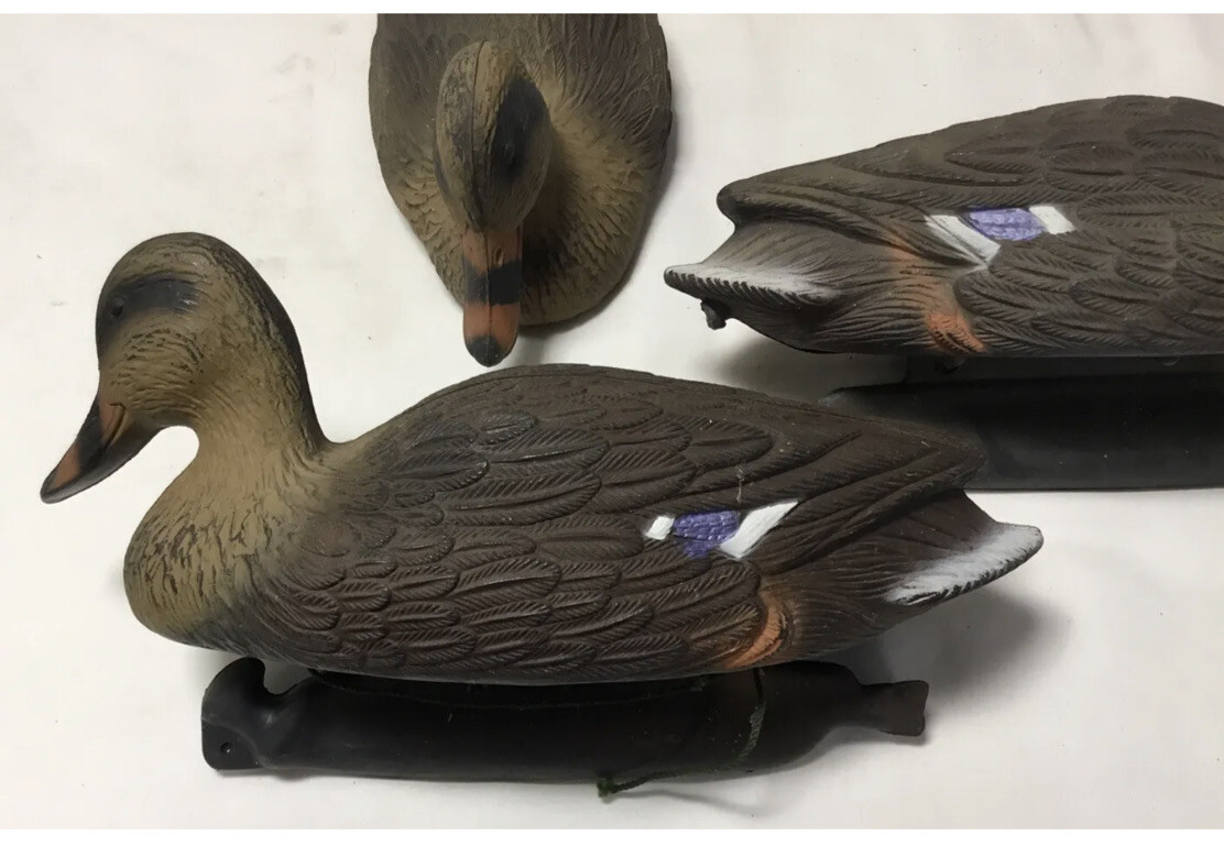 3 – Mallard Drake/Hen Heighted Plastic Decoy Ducks