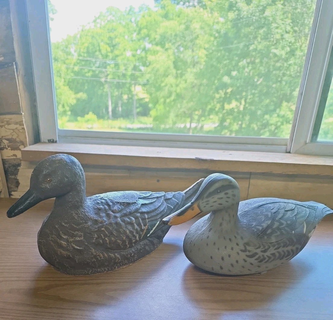 Duck Decoys Victor D9 Plastic Duck & Ariduk Paper Mache Duck