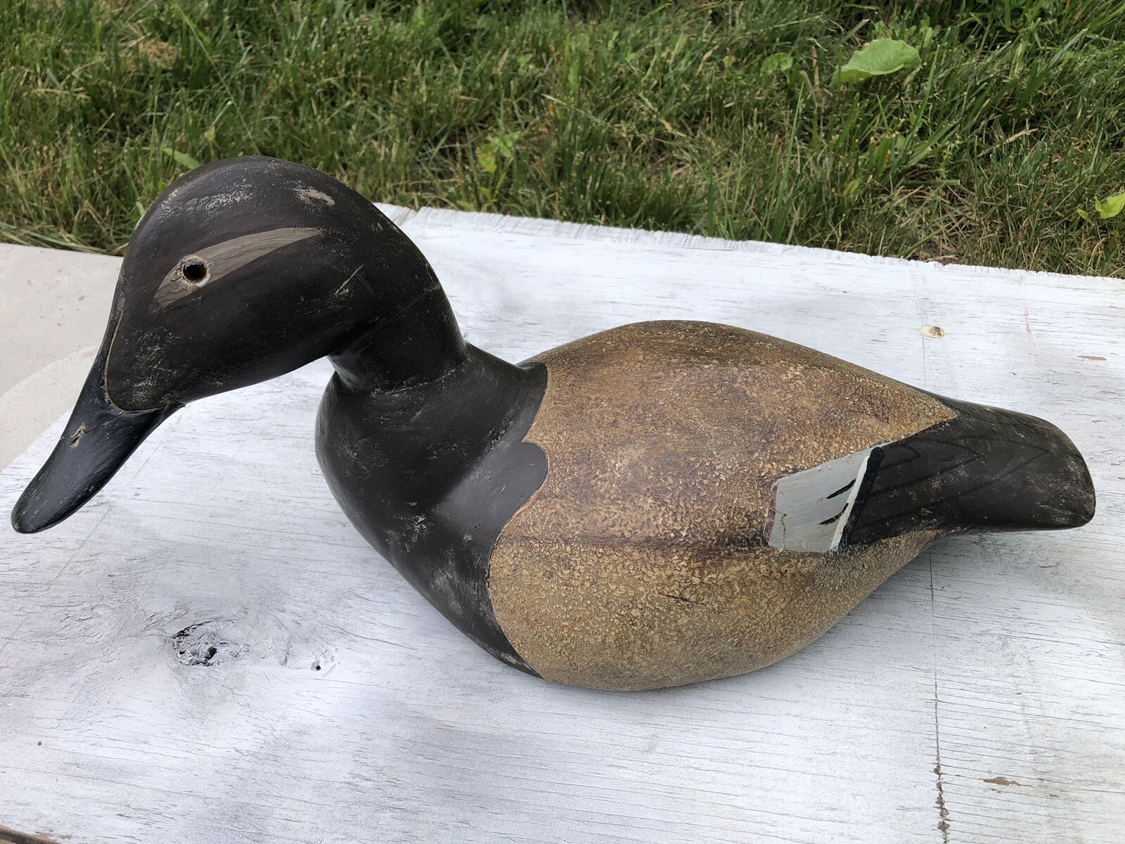 VINTAGE HEN CANVASBACK CARVED WOOD DECOY CHESAPEAKE BAY MARYLAND