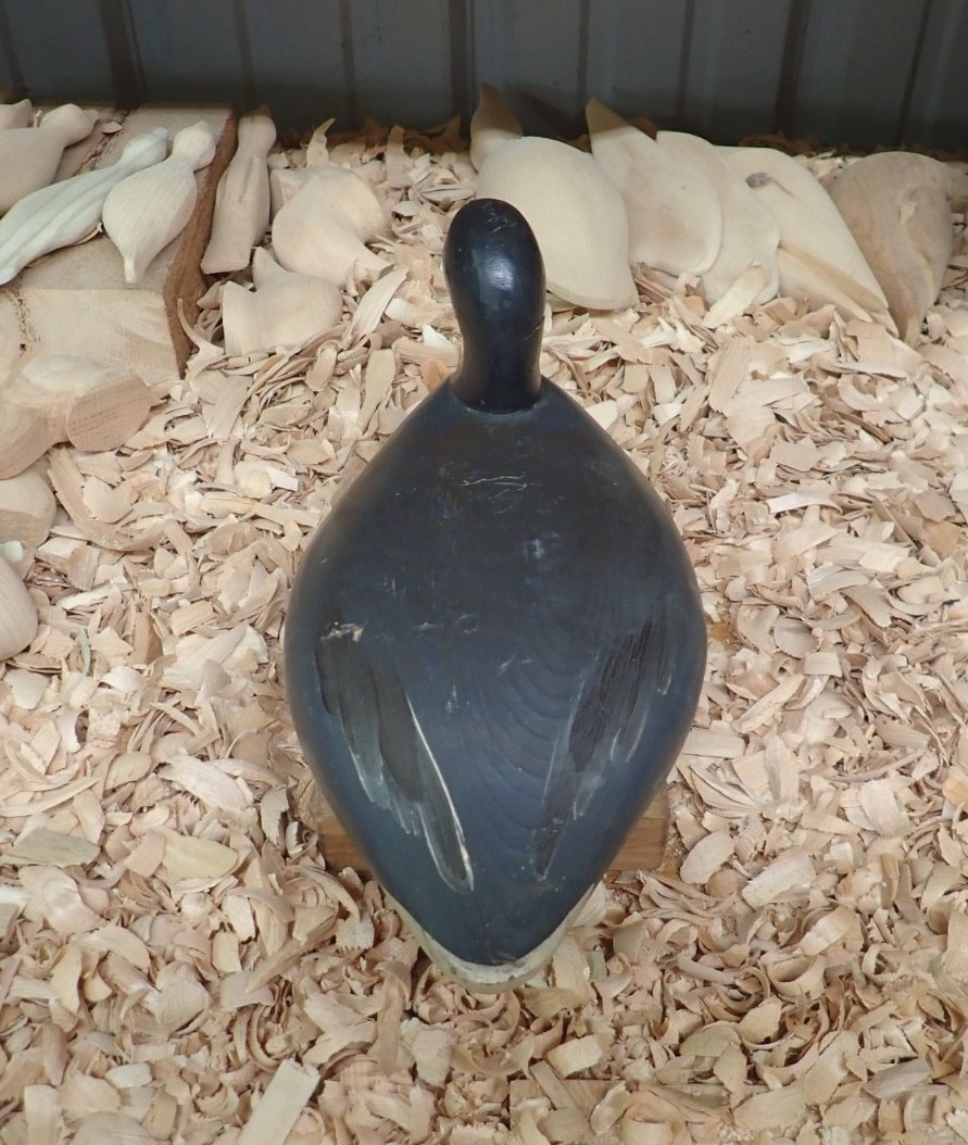 Upper Chesapeake Bay Working Coot Decoy