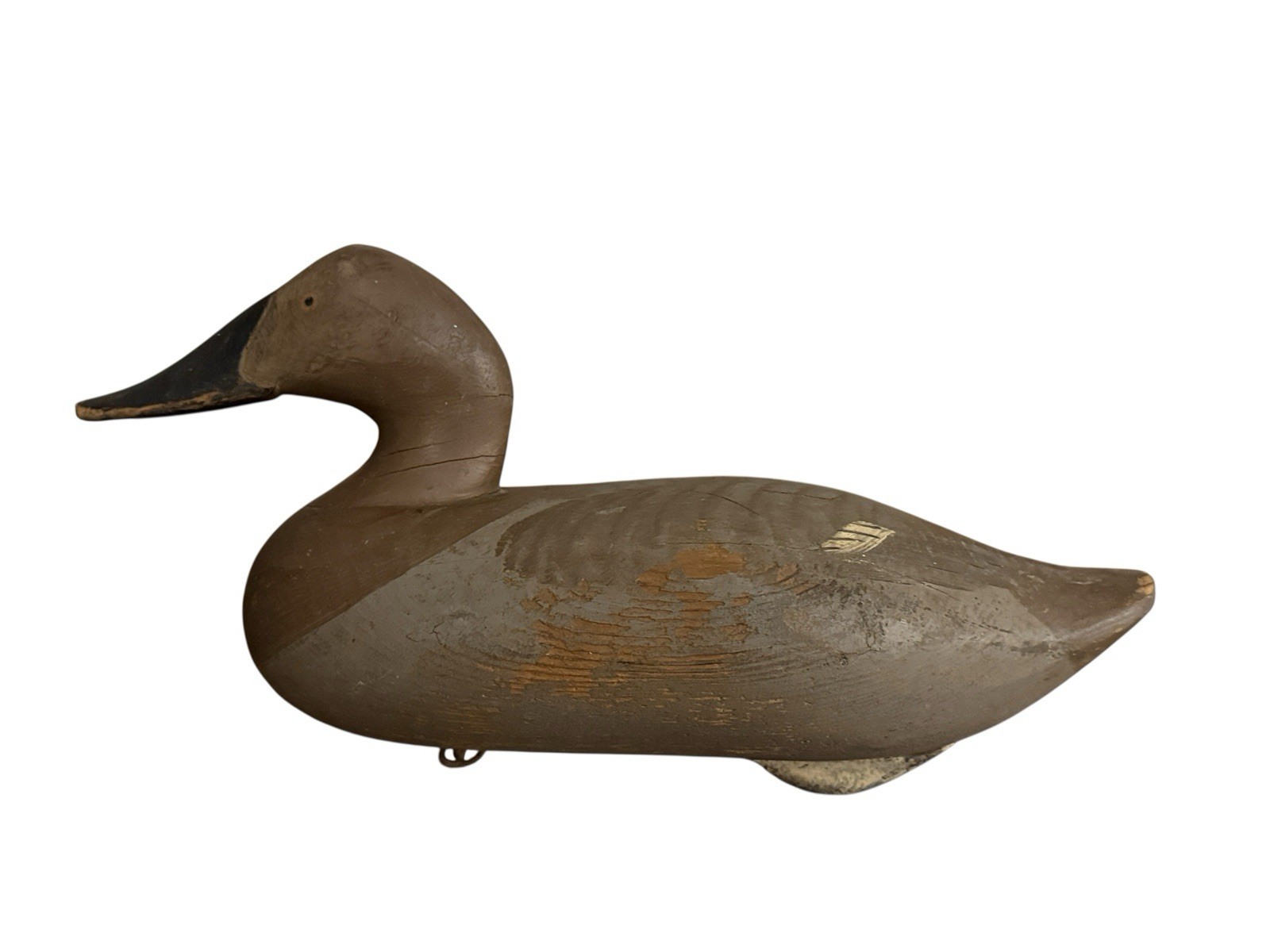R Madison Mitchell Working Canvasback Hen Duck Decoy Havre de Grace MD Upper Bay