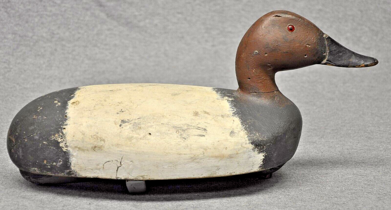 DAN SCRIVENS CANVASBACK DRAKE DECOY duck decoys OP glass eyes BOBTAIL 1920’S