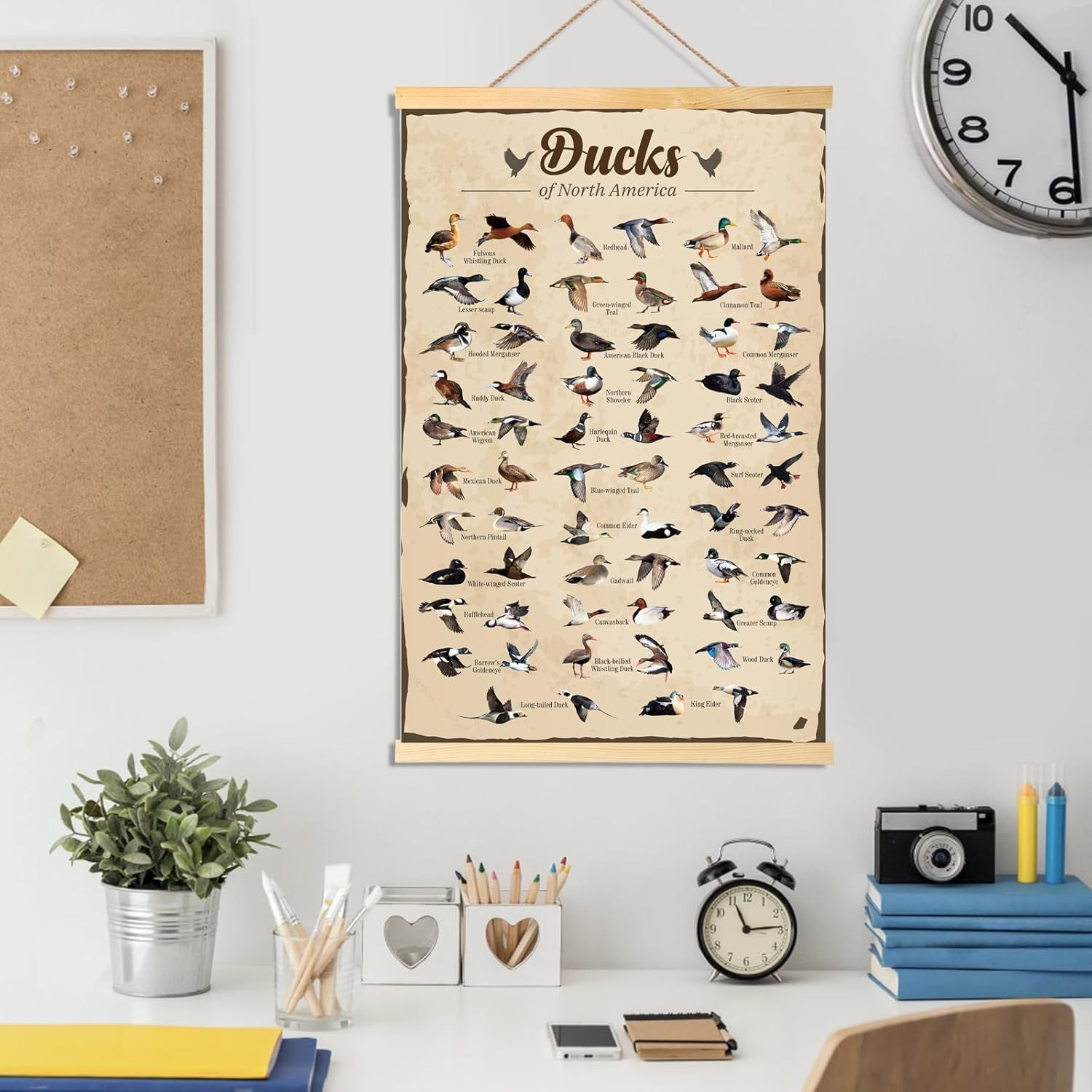 Duck Hunting Gifts for Men Type Of Duck Poster Duck Hunting Decor Mallard Ducks