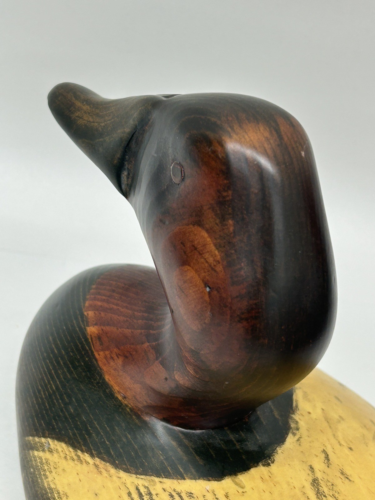 Big Sky Carvers Ducks Unlimited Canvasback Decoy 13″ w/ Medallion