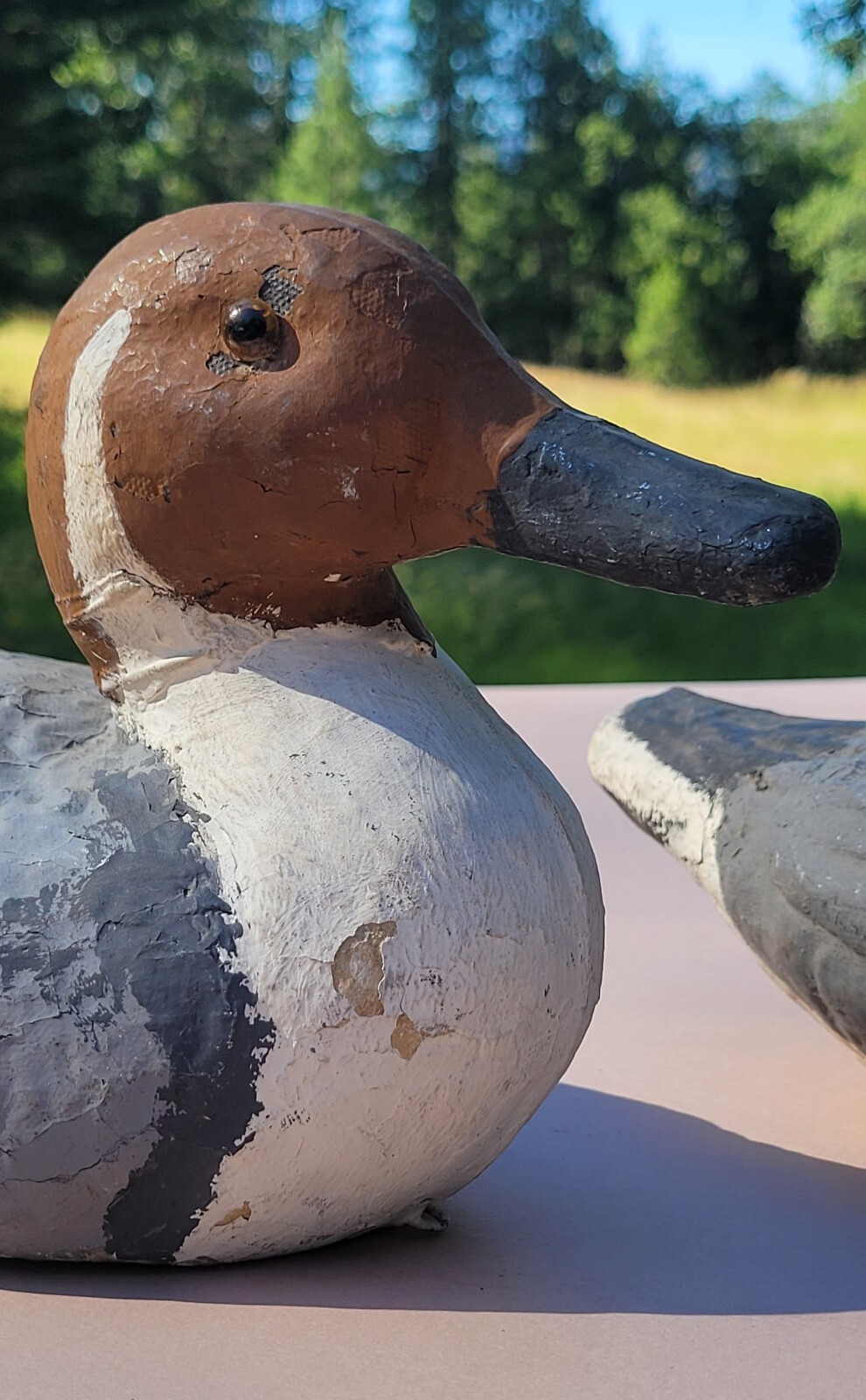 Vintage Victor Veri-lite paper mache Pintail Drake Duck Decoy Pair