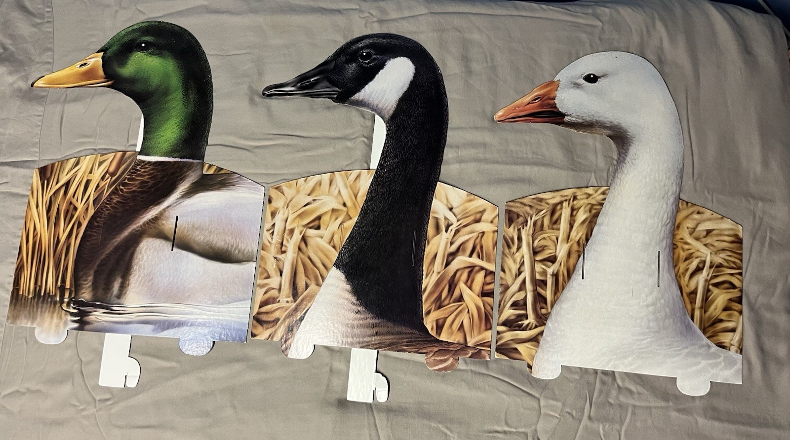 Vintage Waterfowl- Canadian Goose, Snow Goose, Mallard-Indoor Display