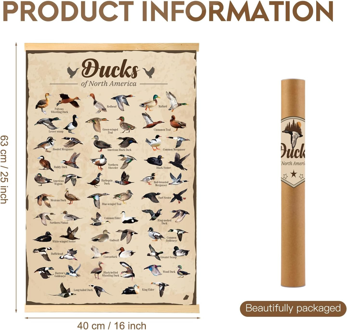 Duck Hunting Gifts for Men Type Of Duck Poster Duck Hunting Decor Mallard Ducks