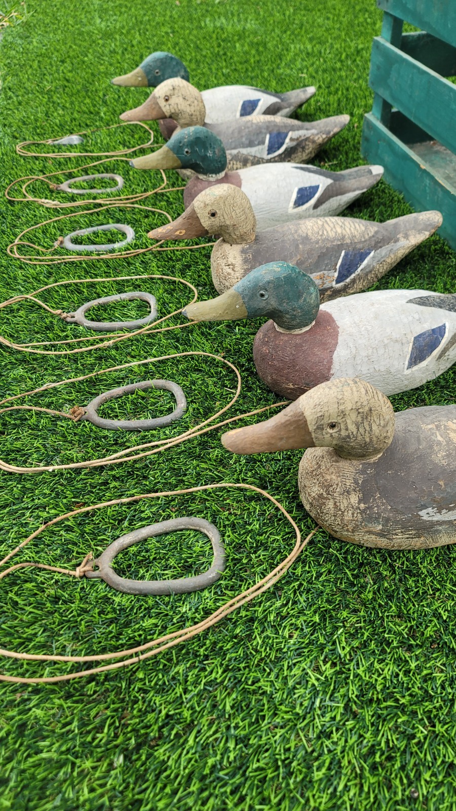 6 Wood Solid Body Duck Hunting Decoys Complete. Weight, Rings, Crate, Glass Eyes