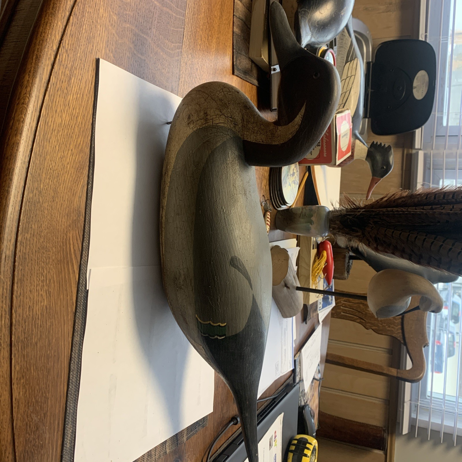 Back Bay,Virginia Pintail Duck Decoy