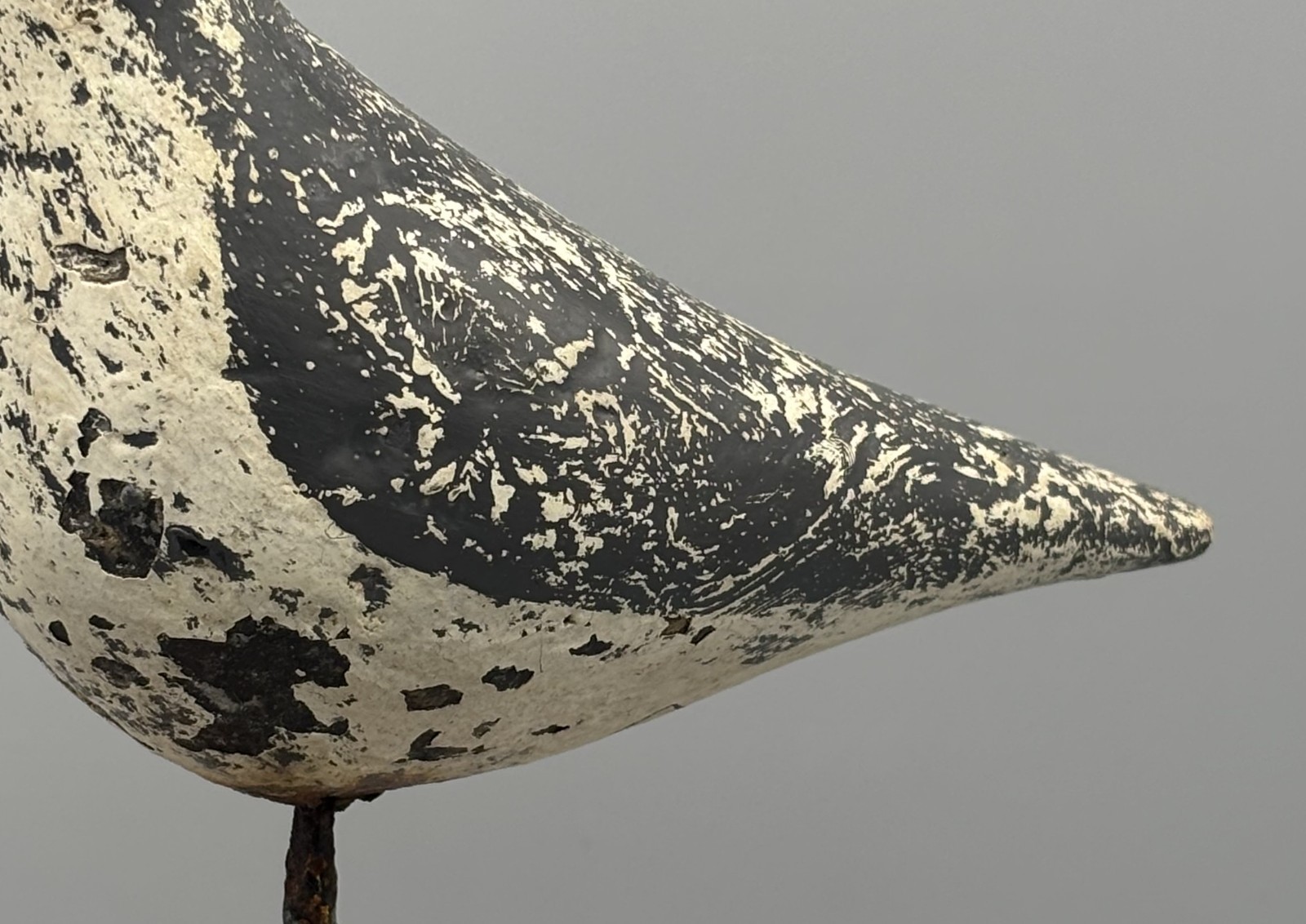 BEETLEHEAD PLOVER ANTIQUE SHOREBIRD DECOY FROM THE RENOWNED **STARR COLLECTION**