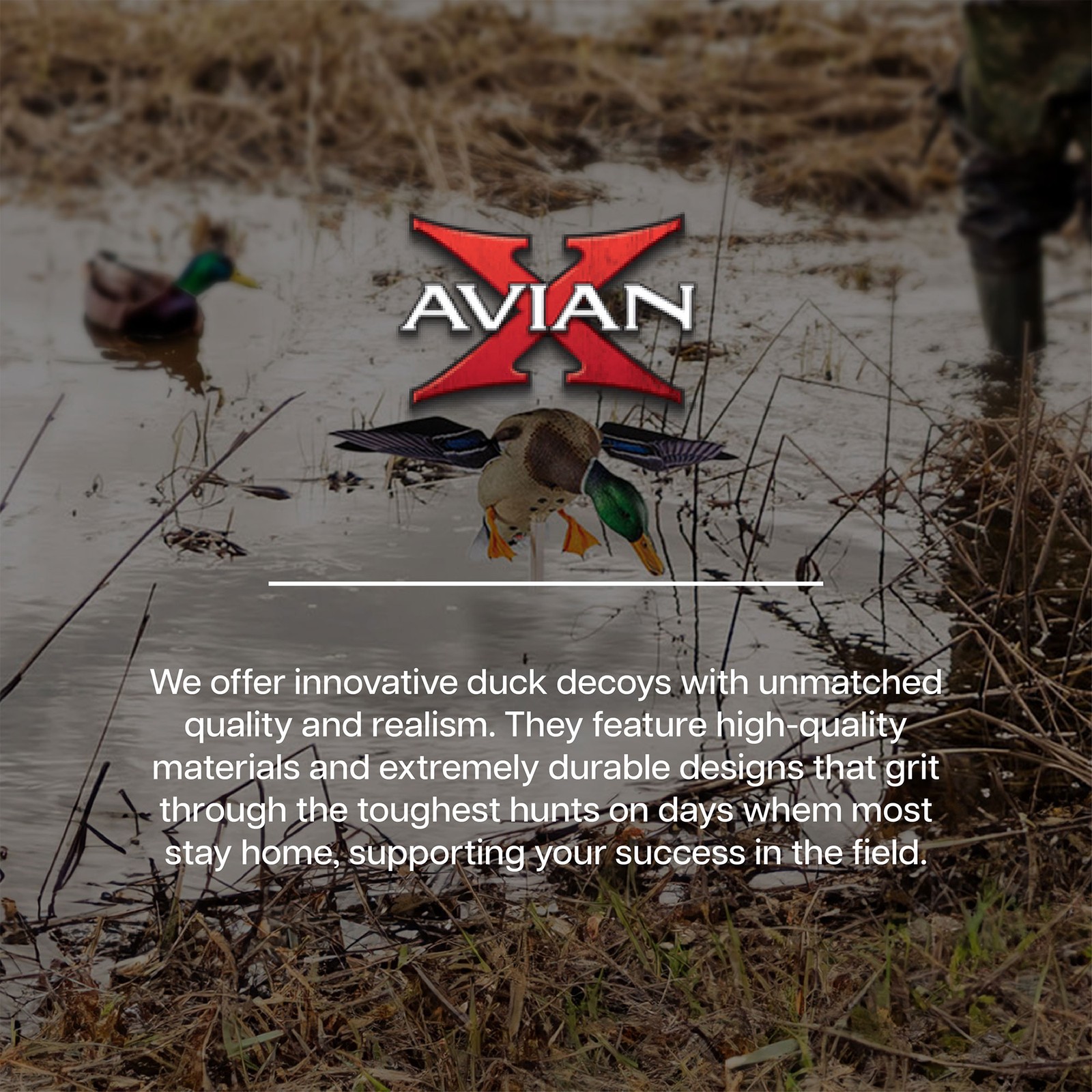 Avian X PowerFlight Mallard Weatherproof Realistic Spin Wing Duck Decoy, 2 Pack