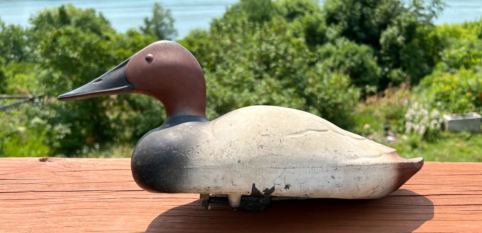 Vintage Decoy Canvasback Drake 14″ Duck Distressed Feather-Lite K. C. Kansas USA