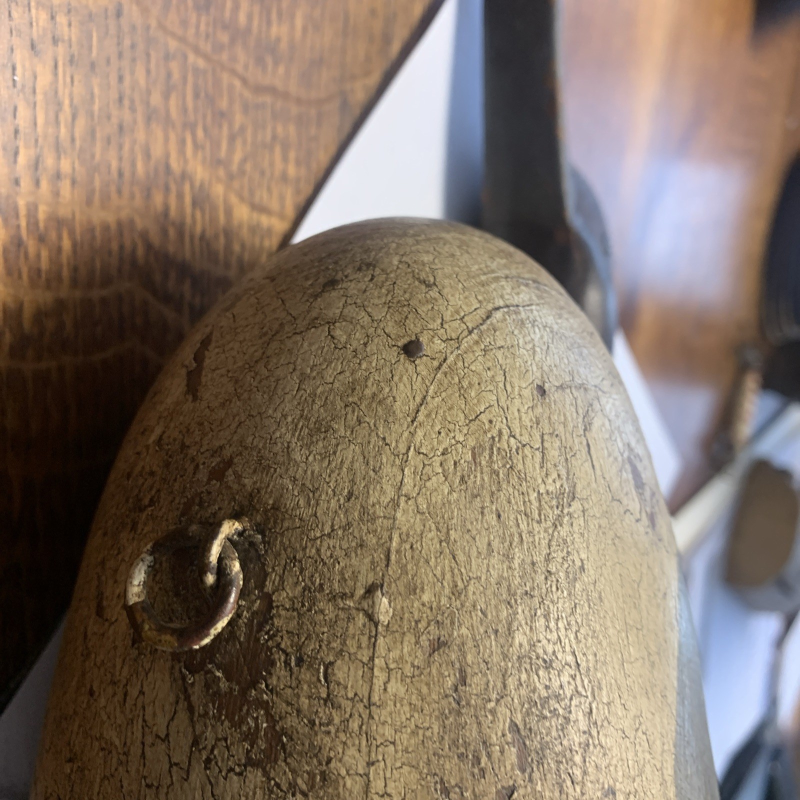 Back Bay,Virginia Pintail Duck Decoy