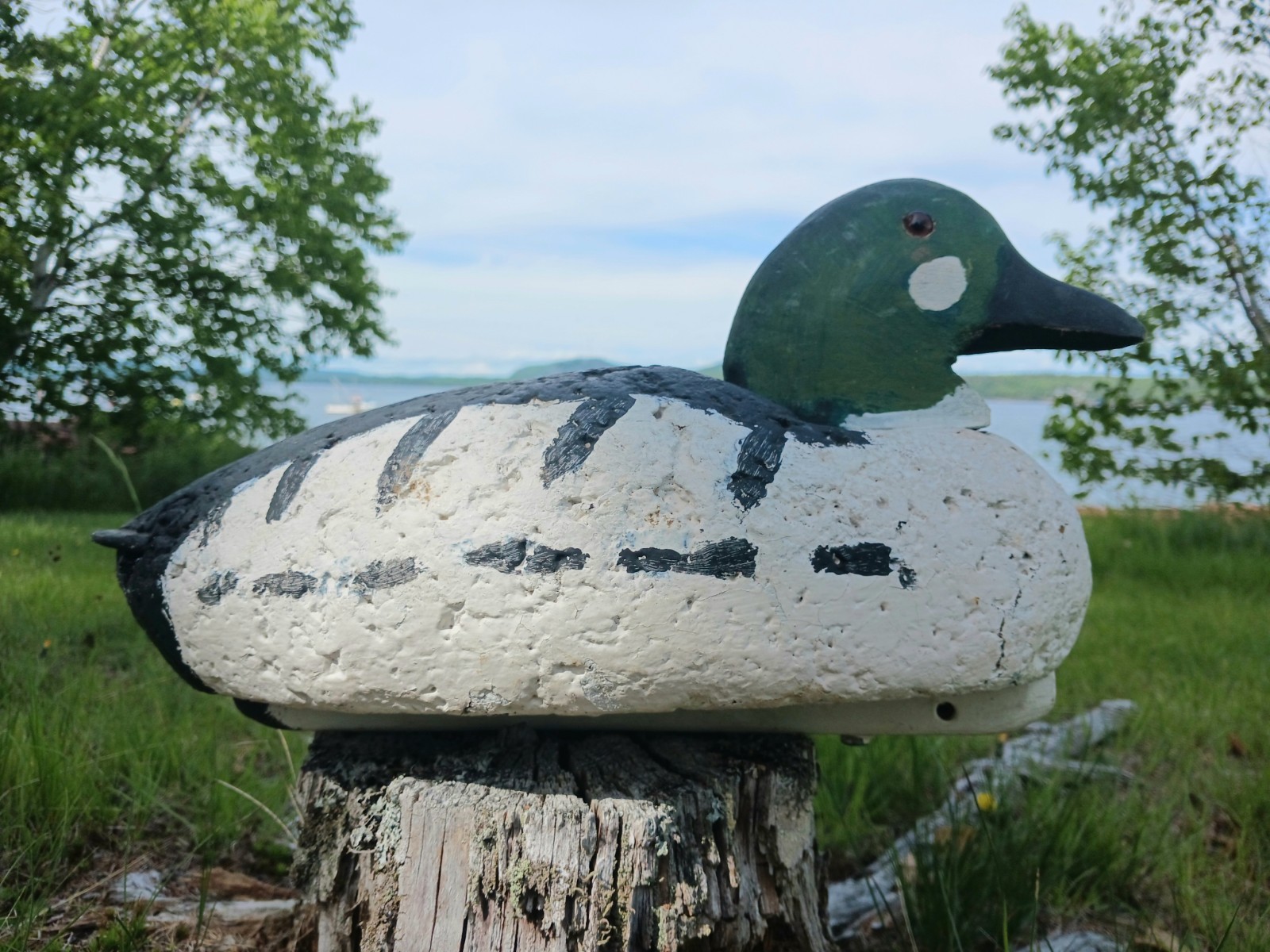 Vintage Antqiue Coastal Maine Cork & Wood Goldeneye Drake Duck Decoy Hunting 16″