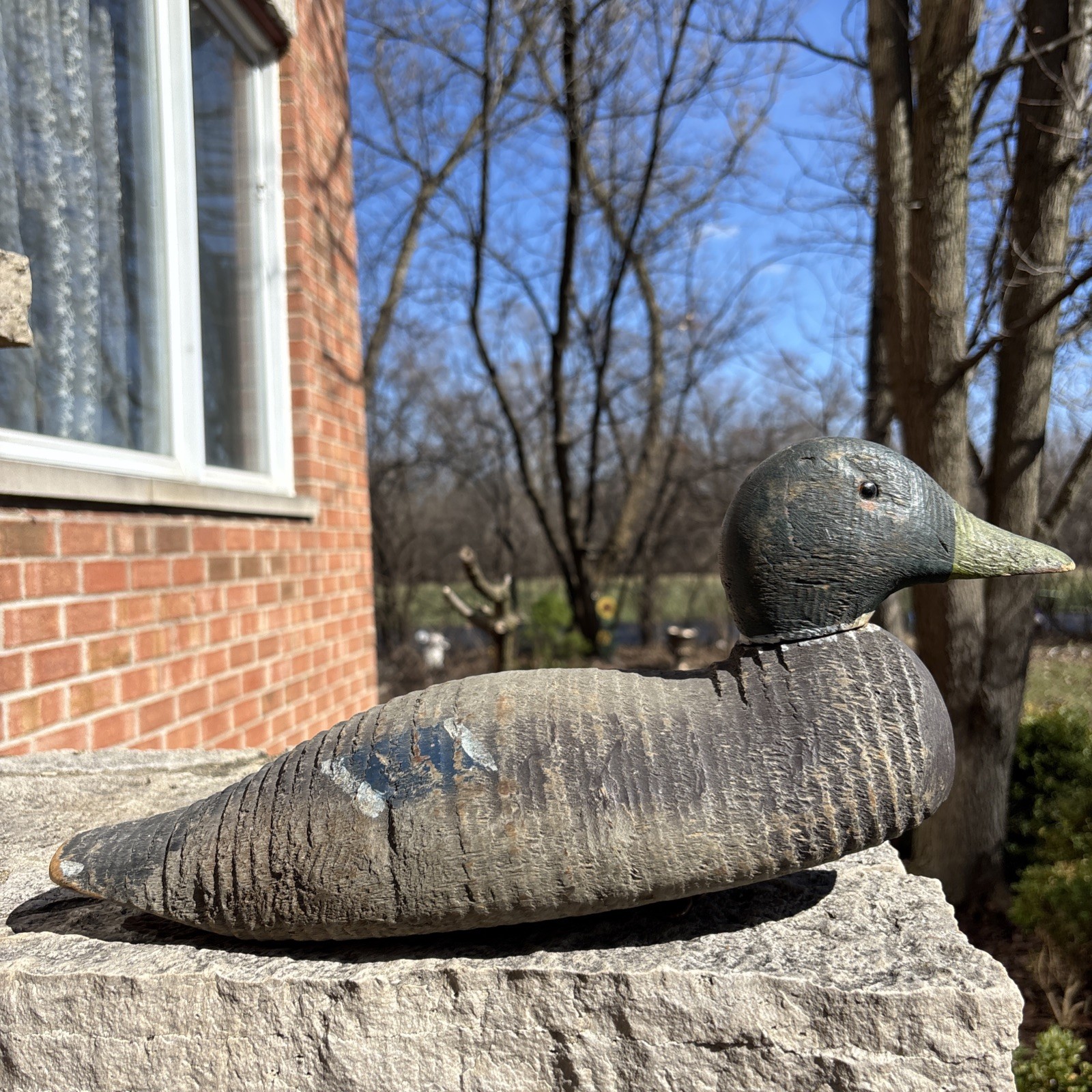 Animal Trap Victor Duck Decoy Factory Bird Duck decoy Glass eyes Vintage