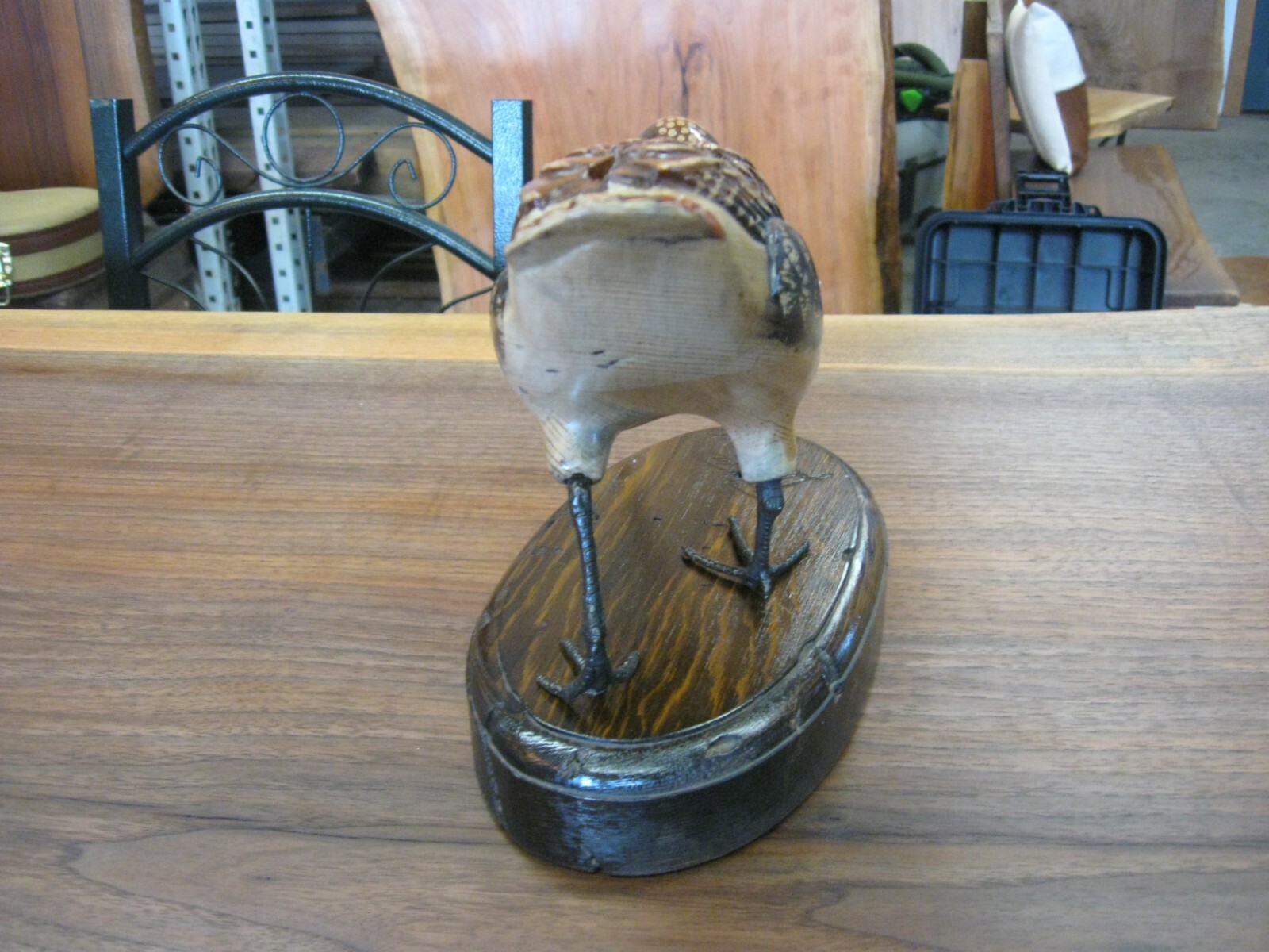 Rare Standing Tom Taber Woodcock Decoy / Wood Carved Timberdoodle / Excellent!