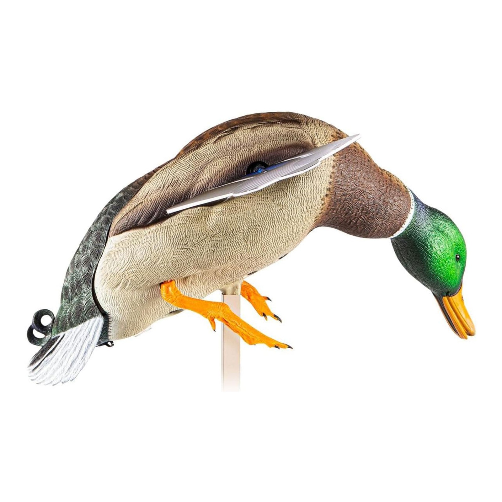 Avian X PowerFlight Mallard Weatherproof Realistic Spin Wing Duck Decoy, 2 Pack