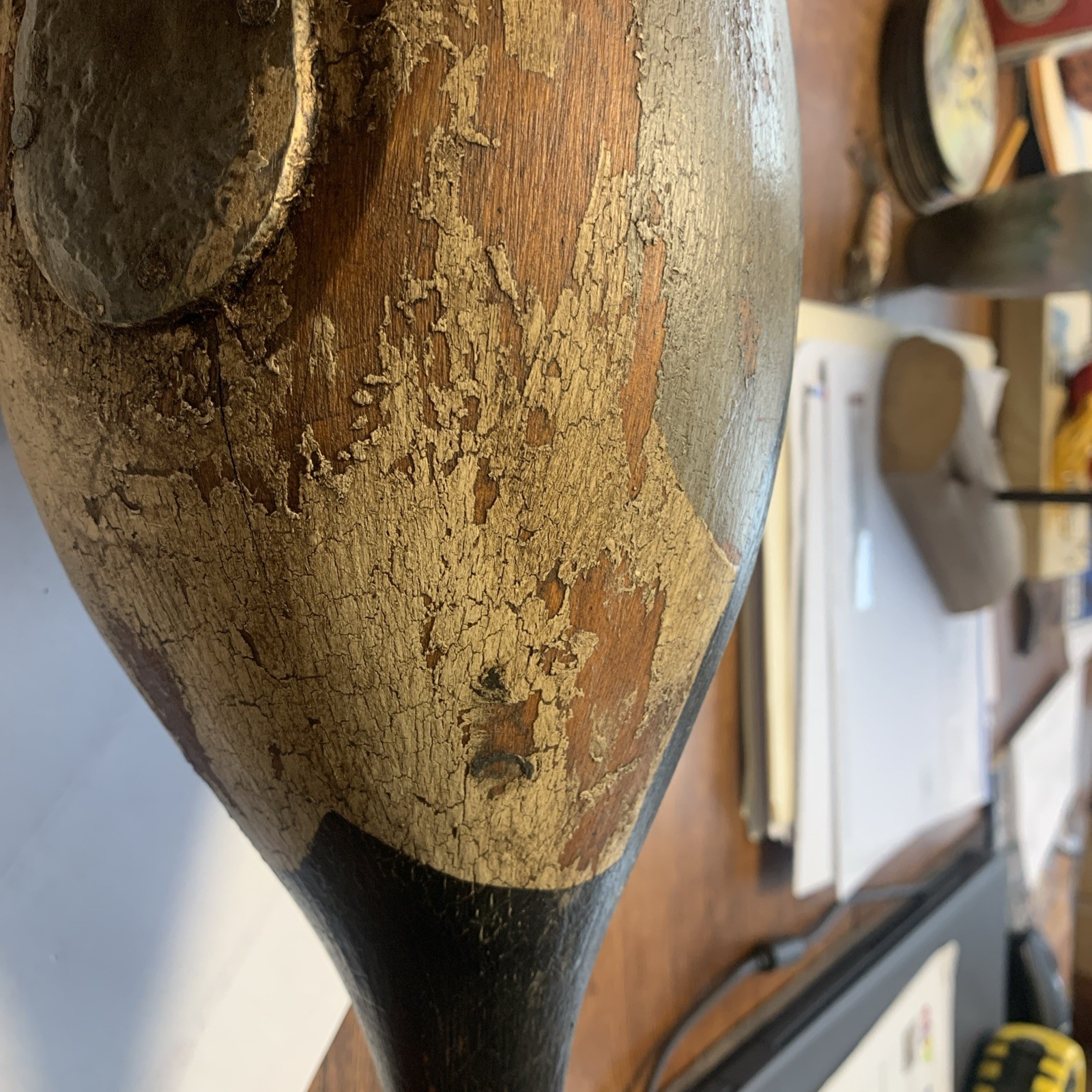 Back Bay,Virginia Pintail Duck Decoy
