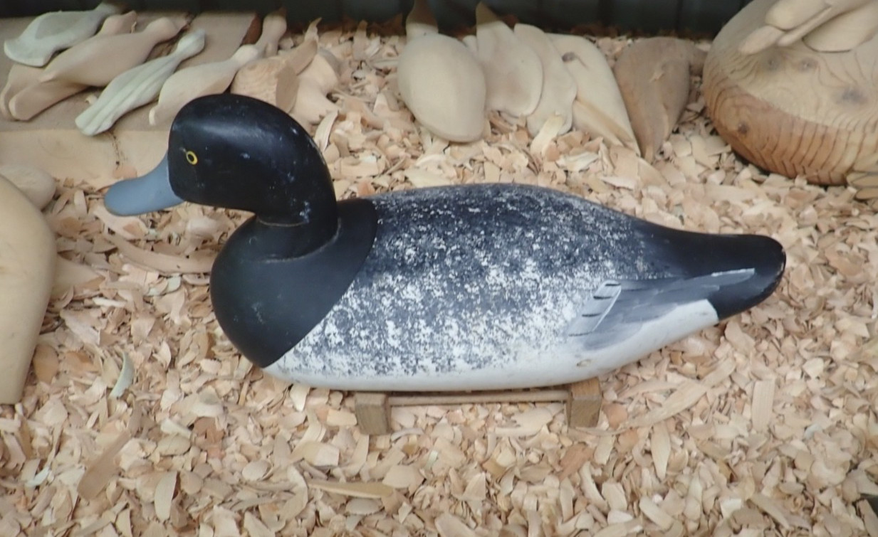 Charlie Bryan Middle River Maryland Blue Bill Drake Gunning Decoy