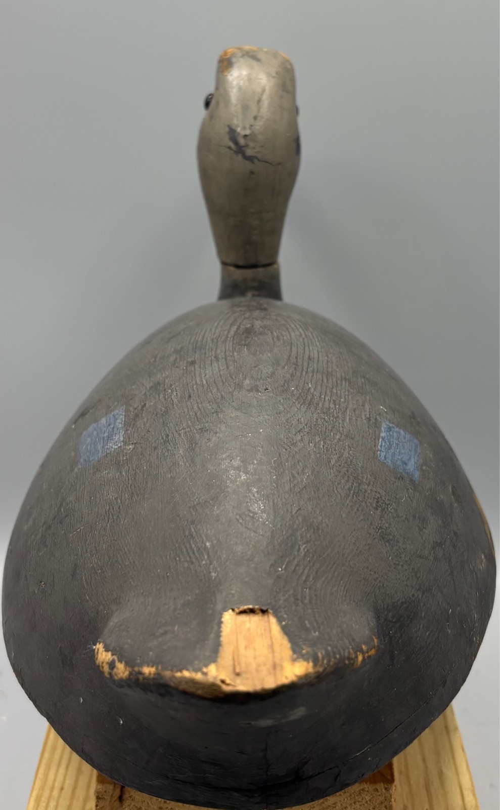 **ORIGINAL PAINT** KINGSTON ONTARIO(?) BLACK DUCK ANTIQUE DECOY “EGGSHELL THIN”