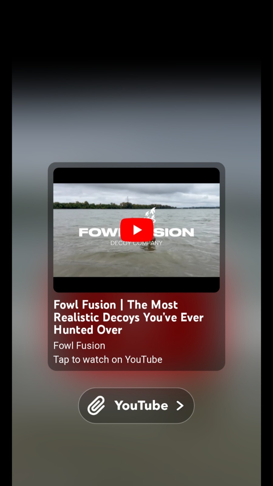 Fowl Fusion Duck Decoy