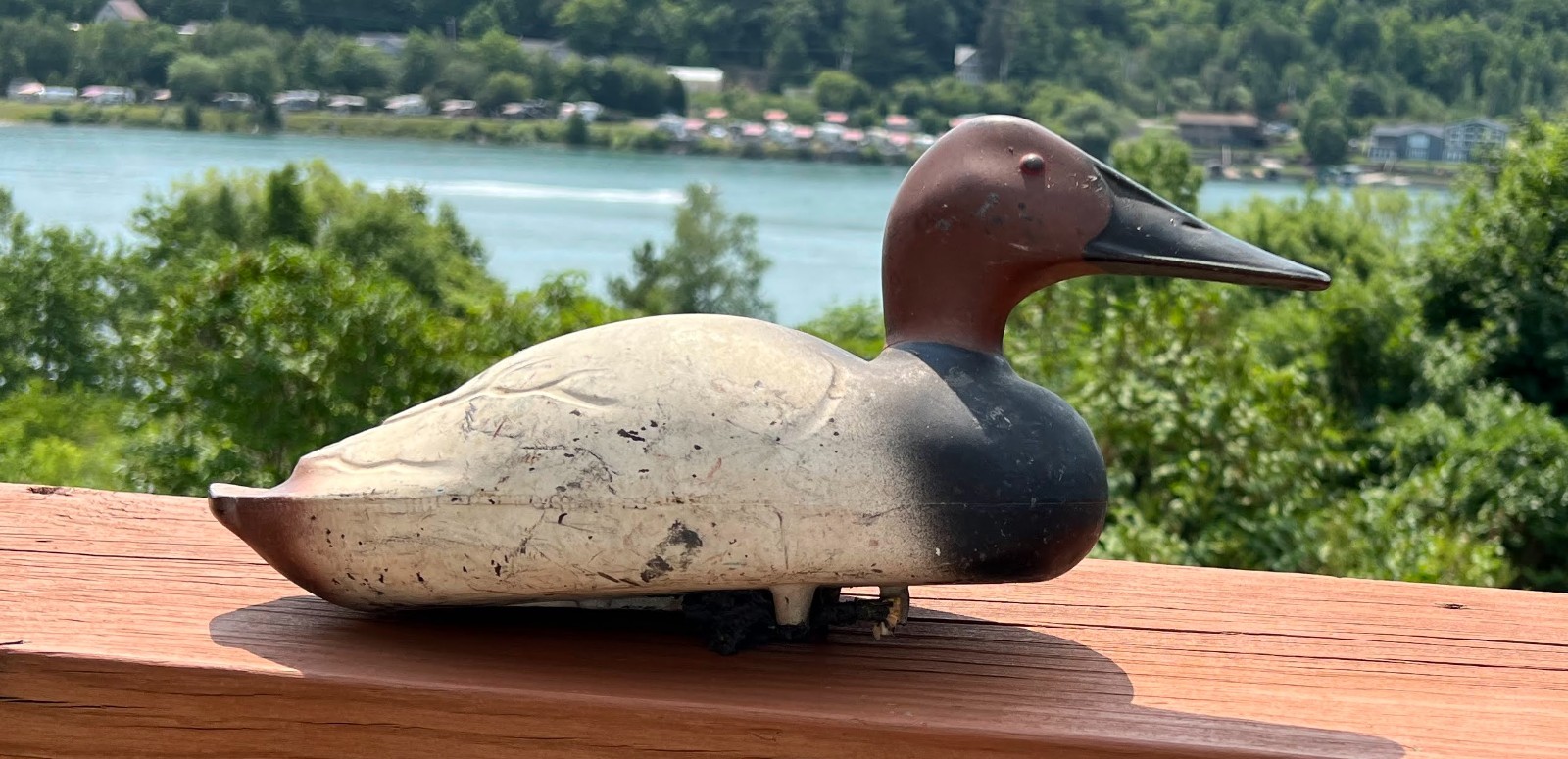 Vintage Decoy Canvasback Drake 14″ Duck Distressed Feather-Lite K. C. Kansas USA