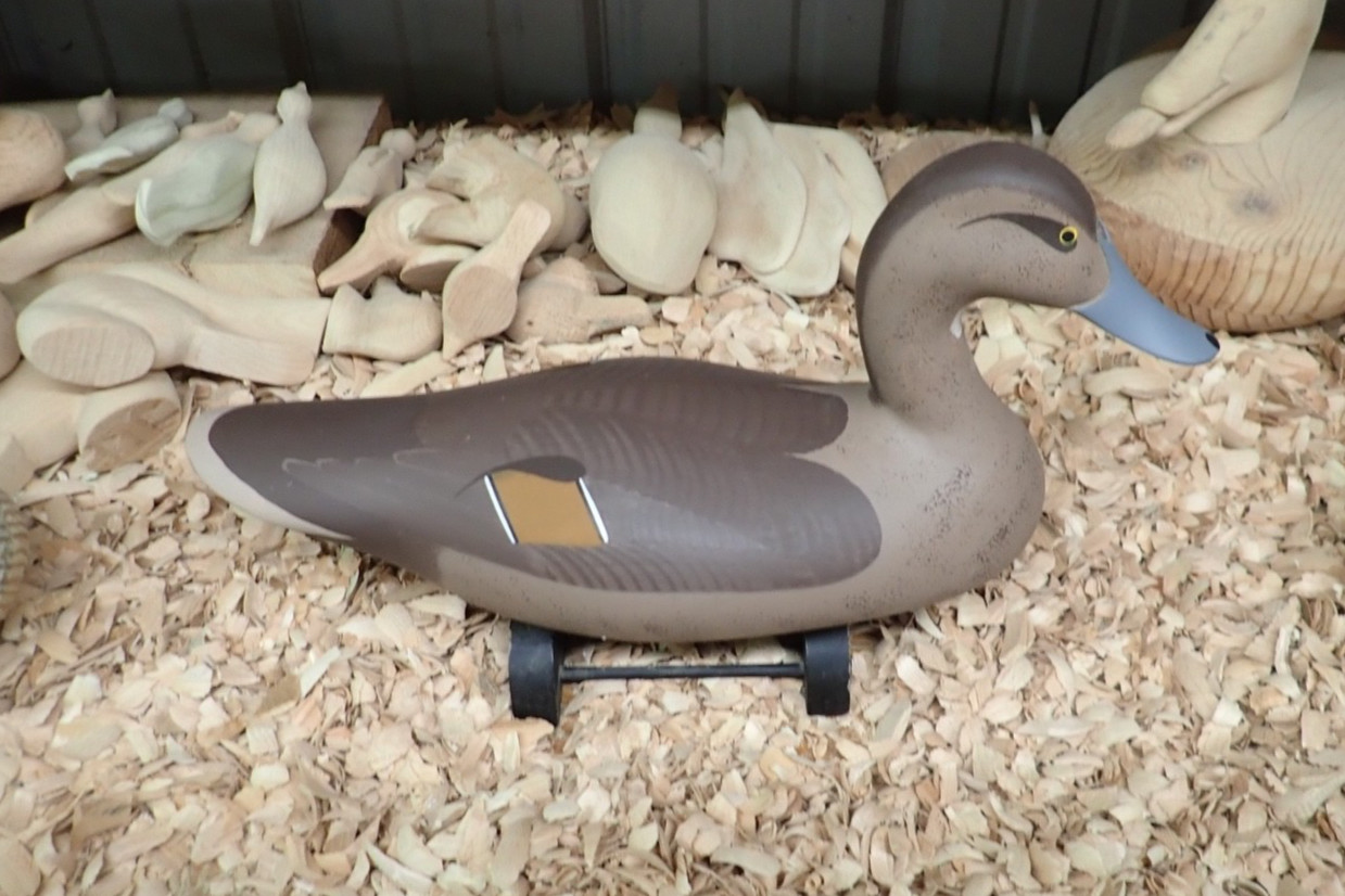 Upper Chesapeake Bay John Clark 1995 Hen Pintail