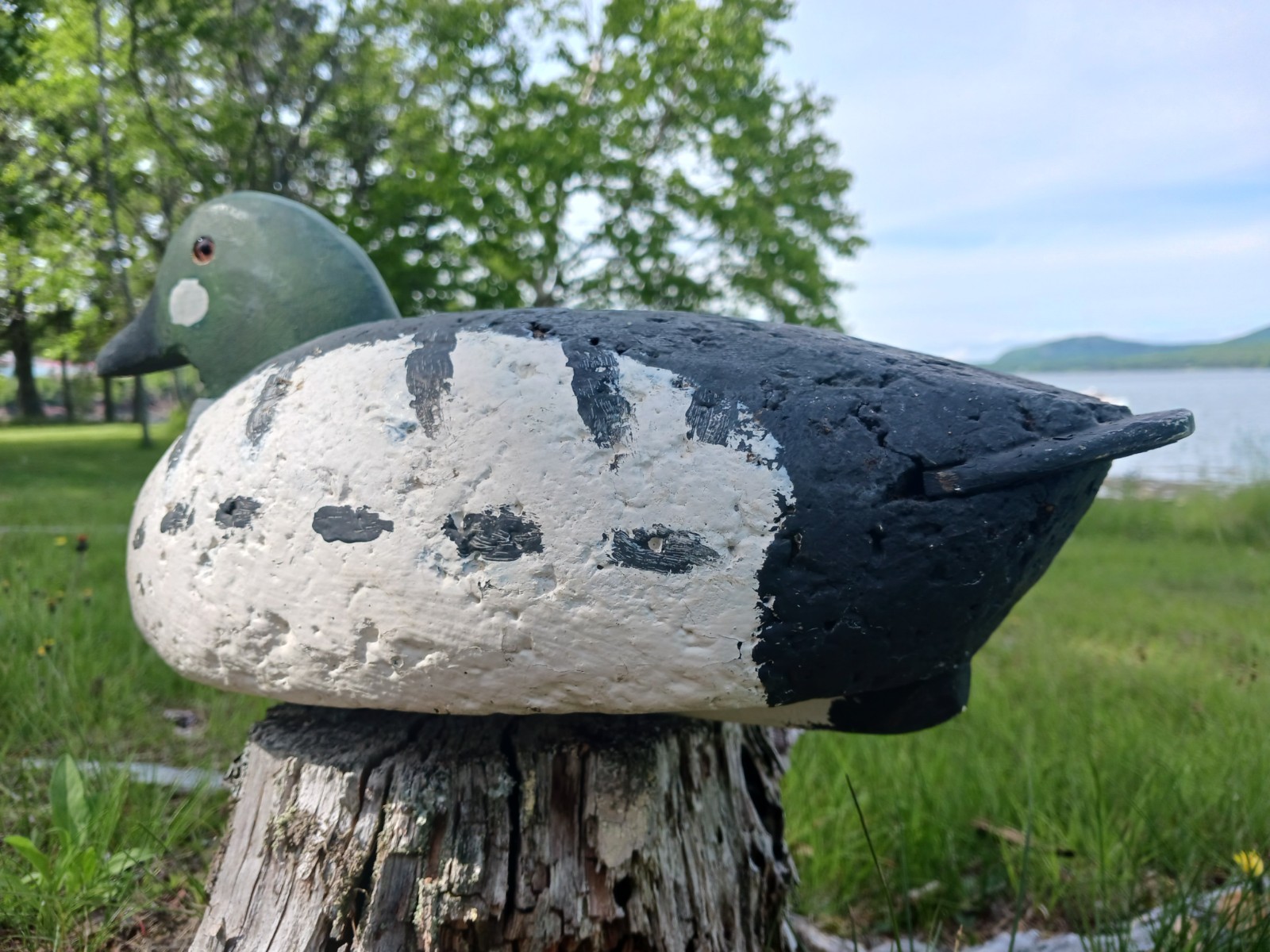 Vintage Antqiue Coastal Maine Cork & Wood Goldeneye Drake Duck Decoy Hunting 16″