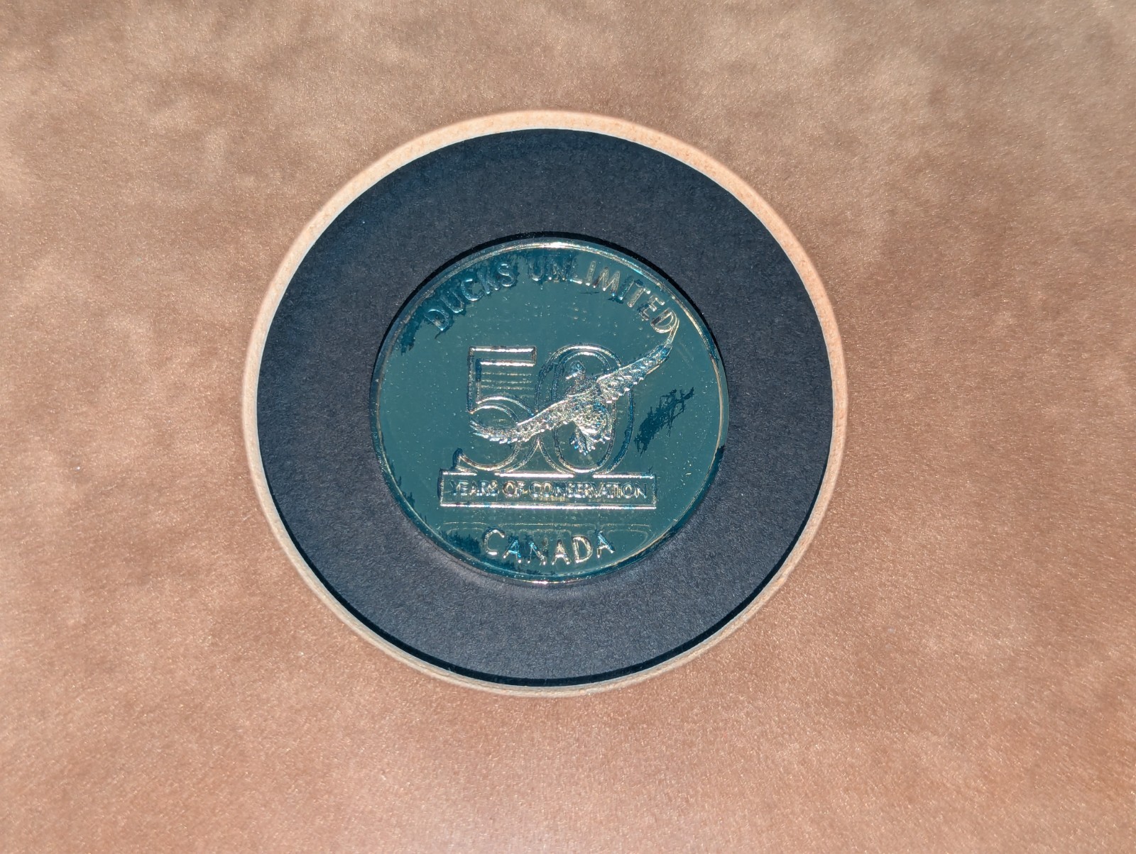 Vintage Ducks Unlimited 50 Year Silver Coin And $5 Canada Duck Stamp Framed