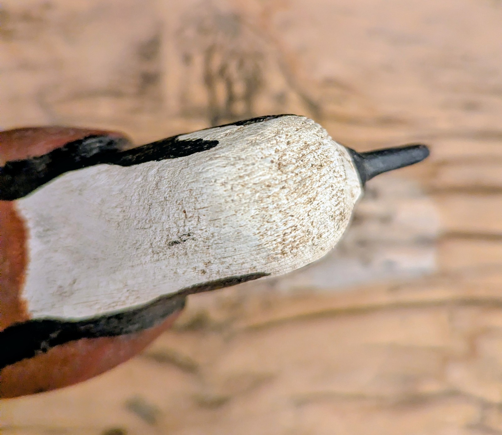 Oriental, NC Ruddy Turnstone Shorebird Decoy Dated 7/86 Split Tail, Carved Eyes