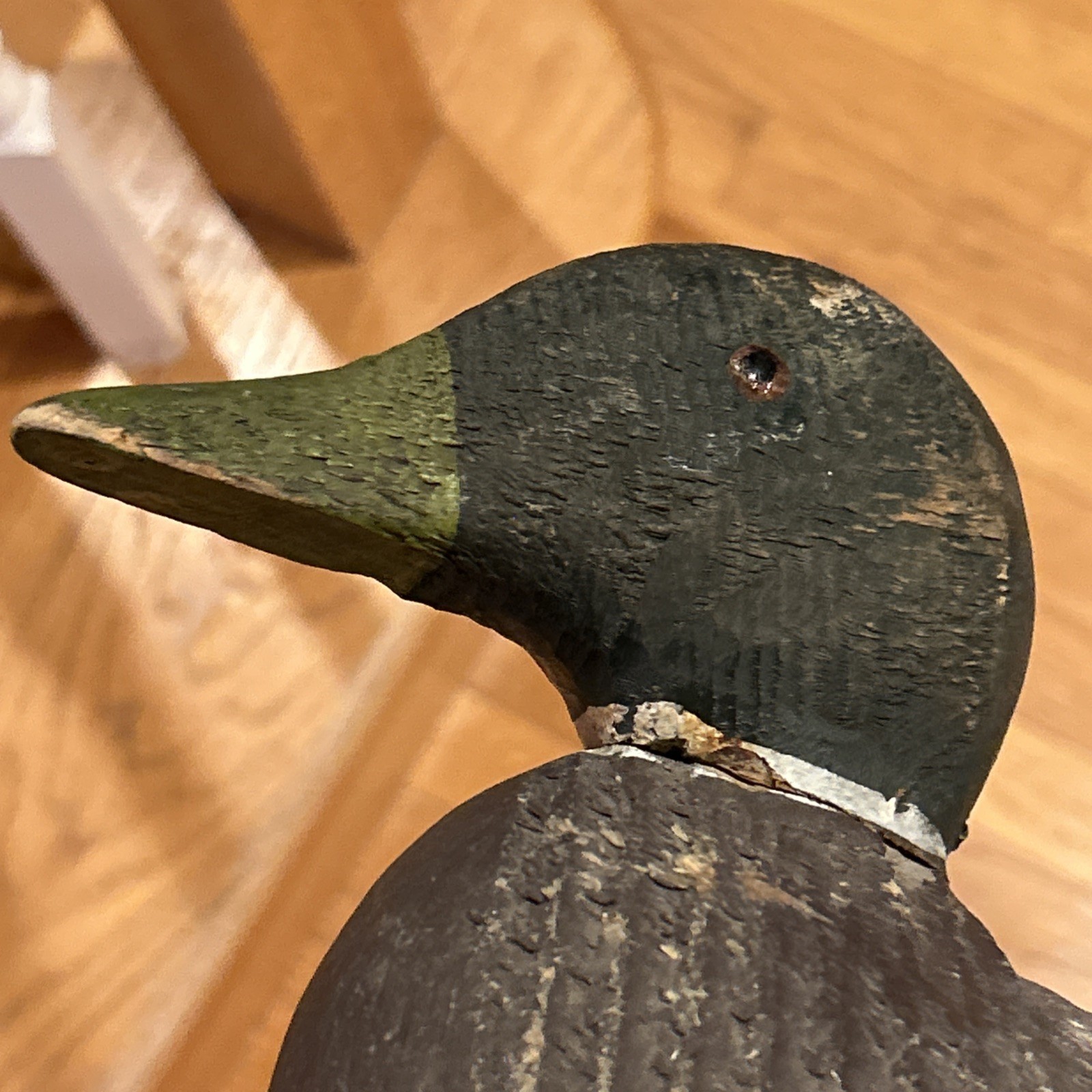 Animal Trap Victor Duck Decoy Factory Bird Duck decoy Glass eyes Vintage