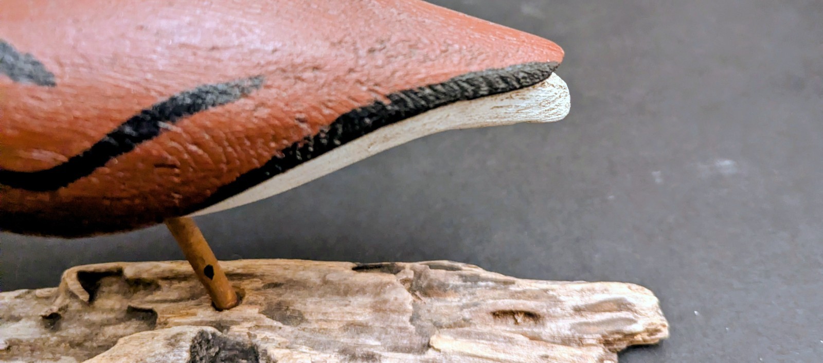 Oriental, NC Ruddy Turnstone Shorebird Decoy Dated 7/86 Split Tail, Carved Eyes