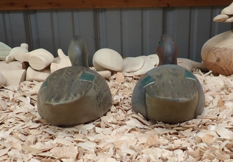 Bob Biddle (1937-2025) Media Pennsylvania Green Wing Teal Decoys