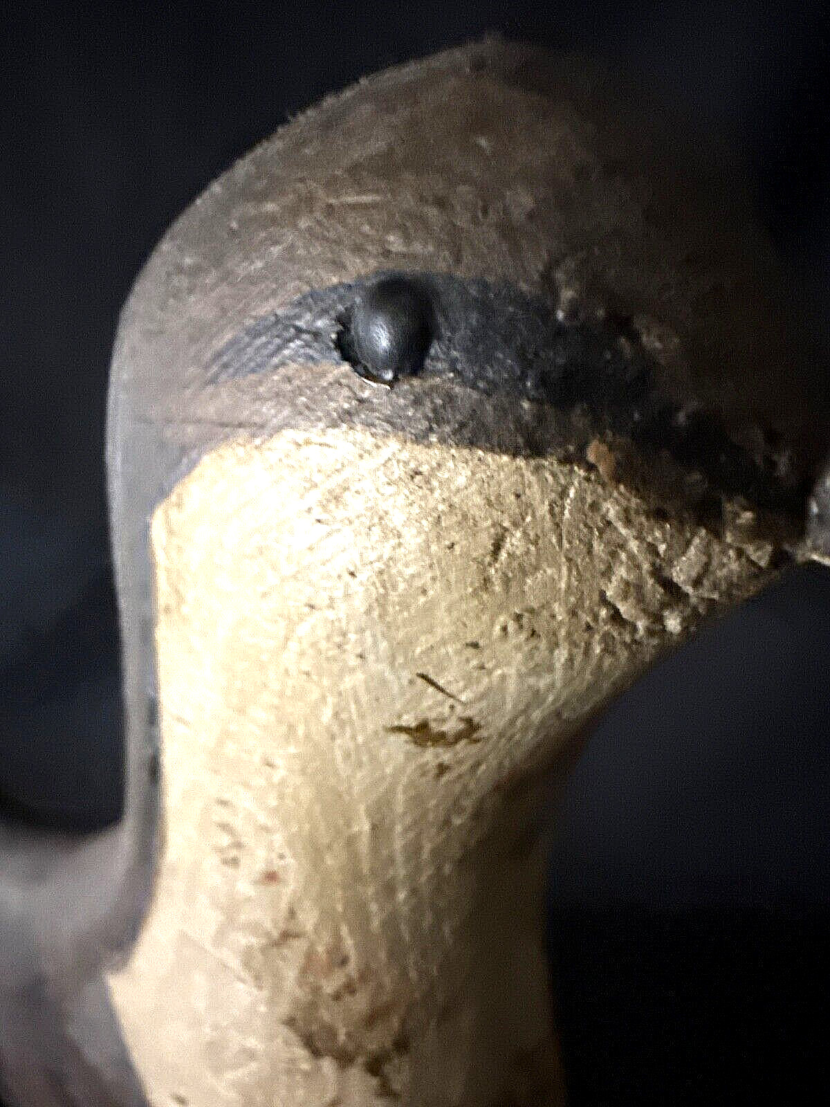 YELLOWLEGS SHOREBIRD DECOY PRIMITIVE FOLK ART ANTIQUE HUNTER CABIN