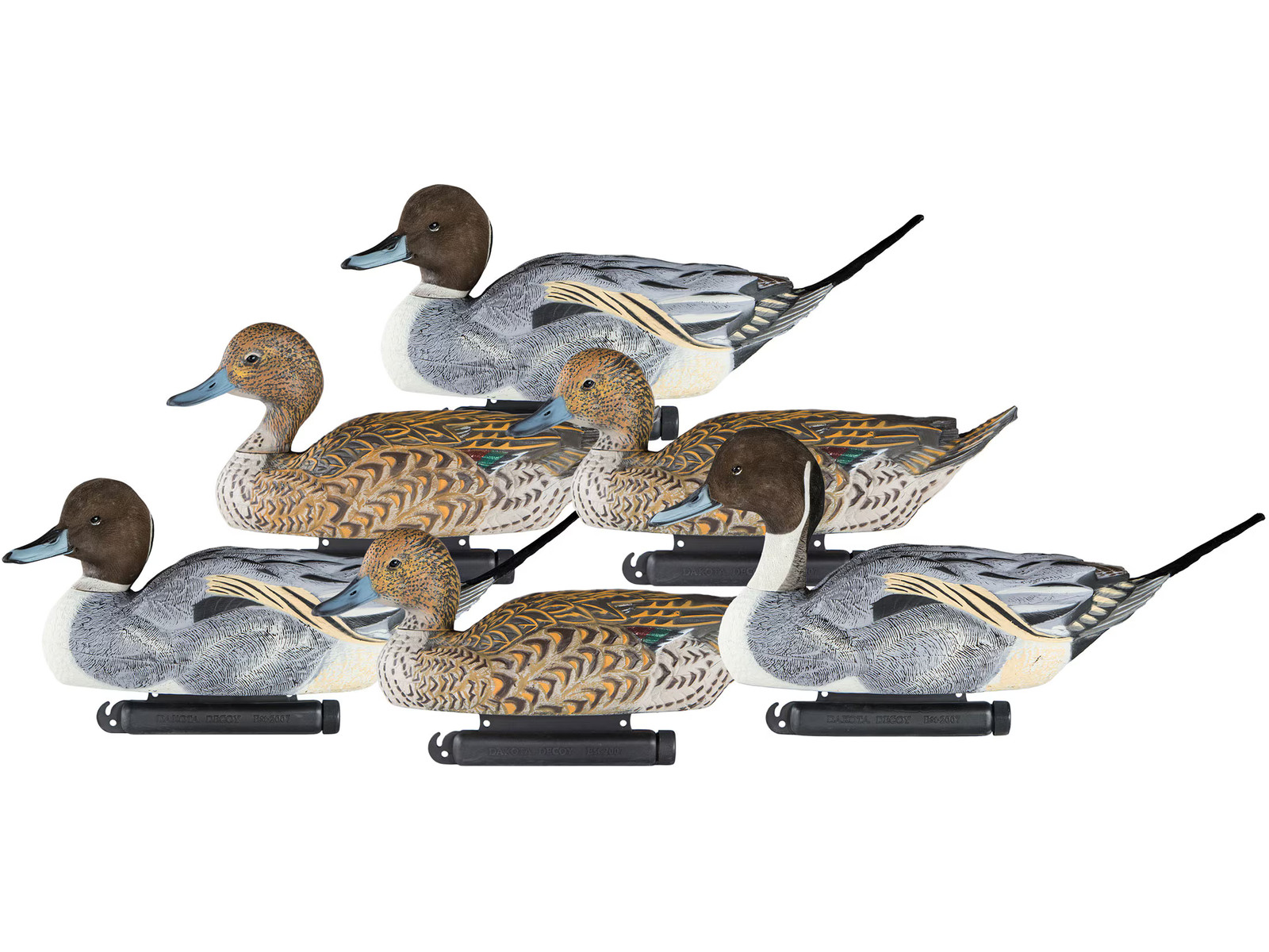Dakota Decoy X-treme Pintail Duck Decoy 6PK