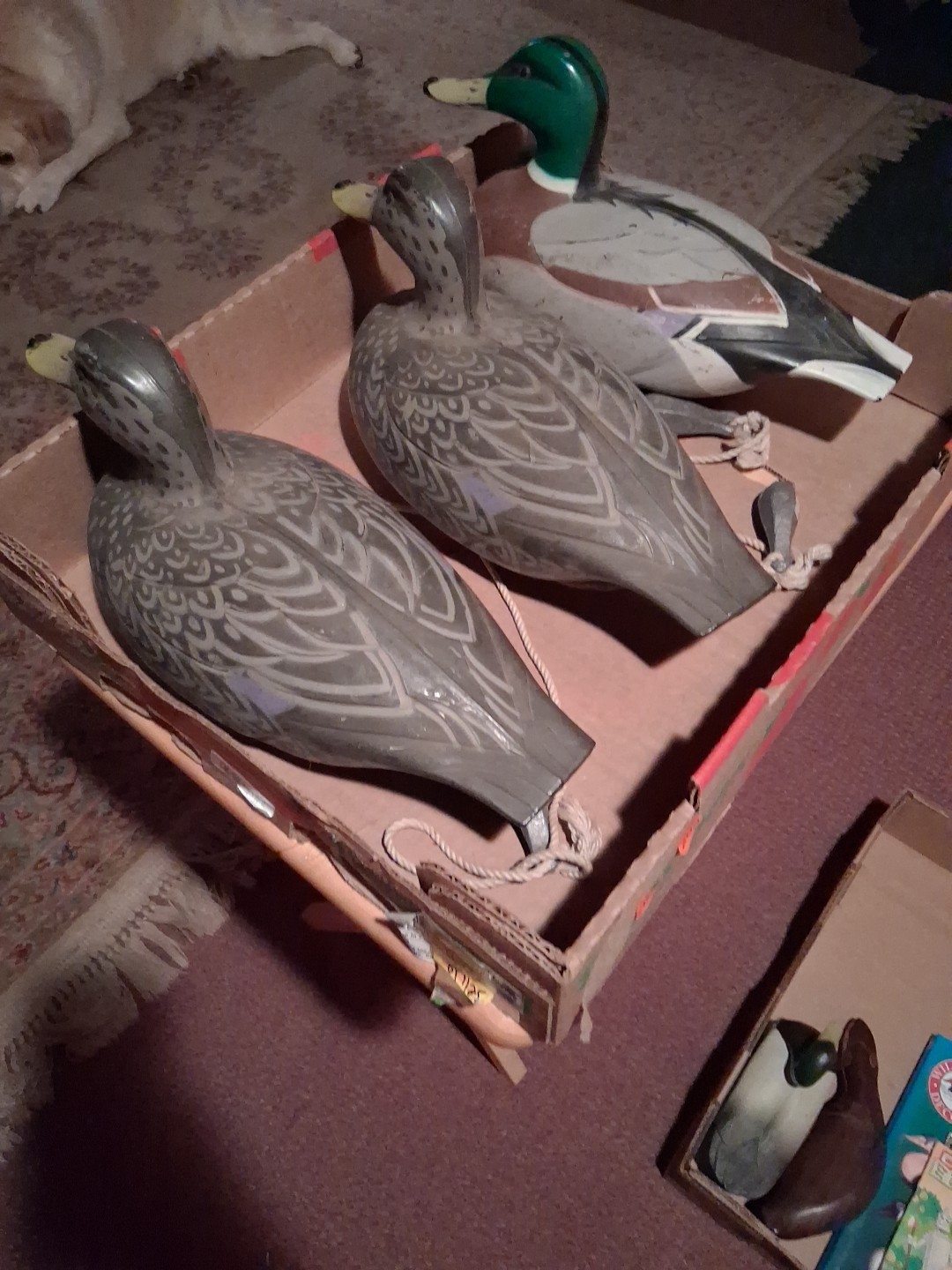 Vtg 3 Original ©1967 D9 Mallard Duck Decoys 2-Victor Hens & Drake Woodstream.