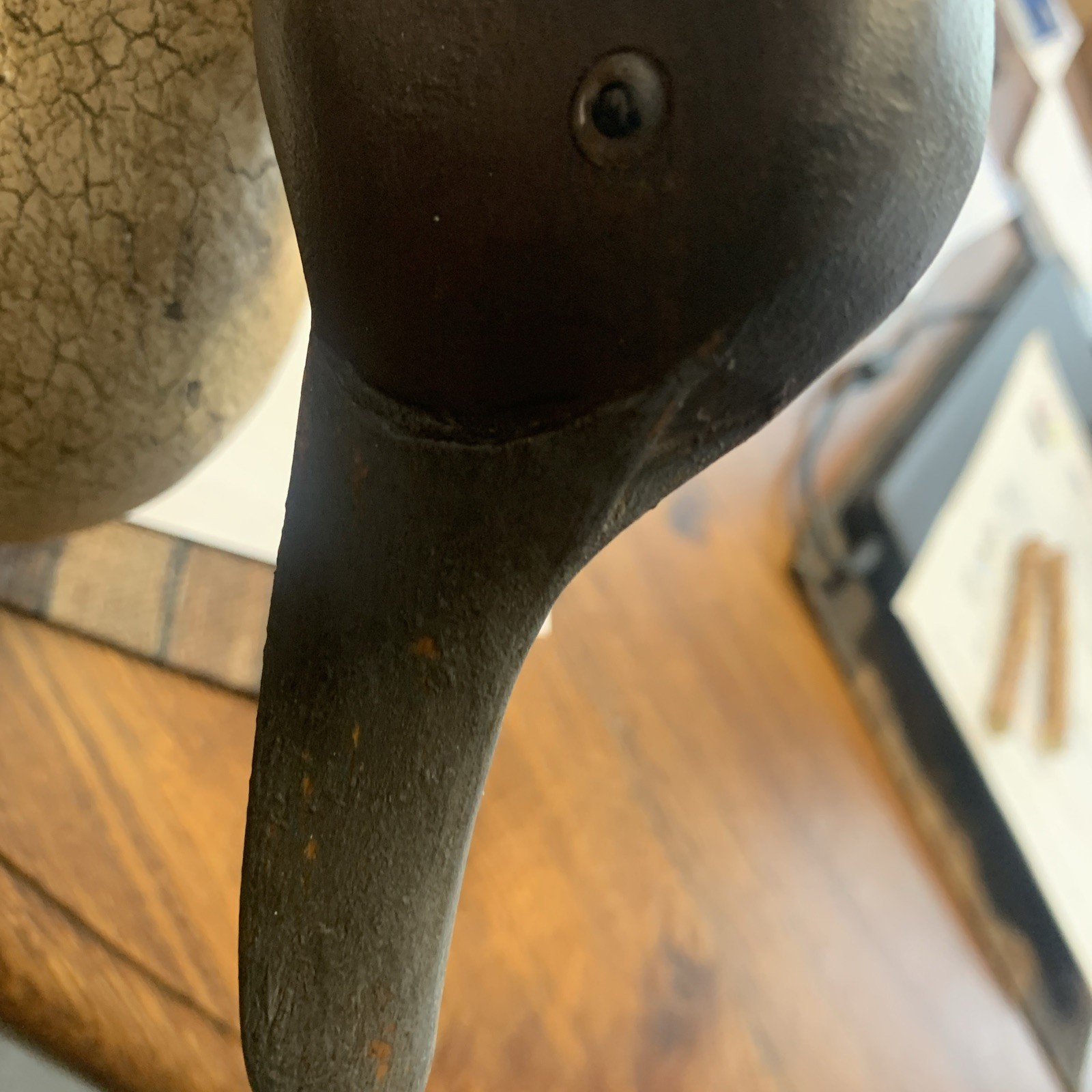 Back Bay,Virginia Pintail Duck Decoy