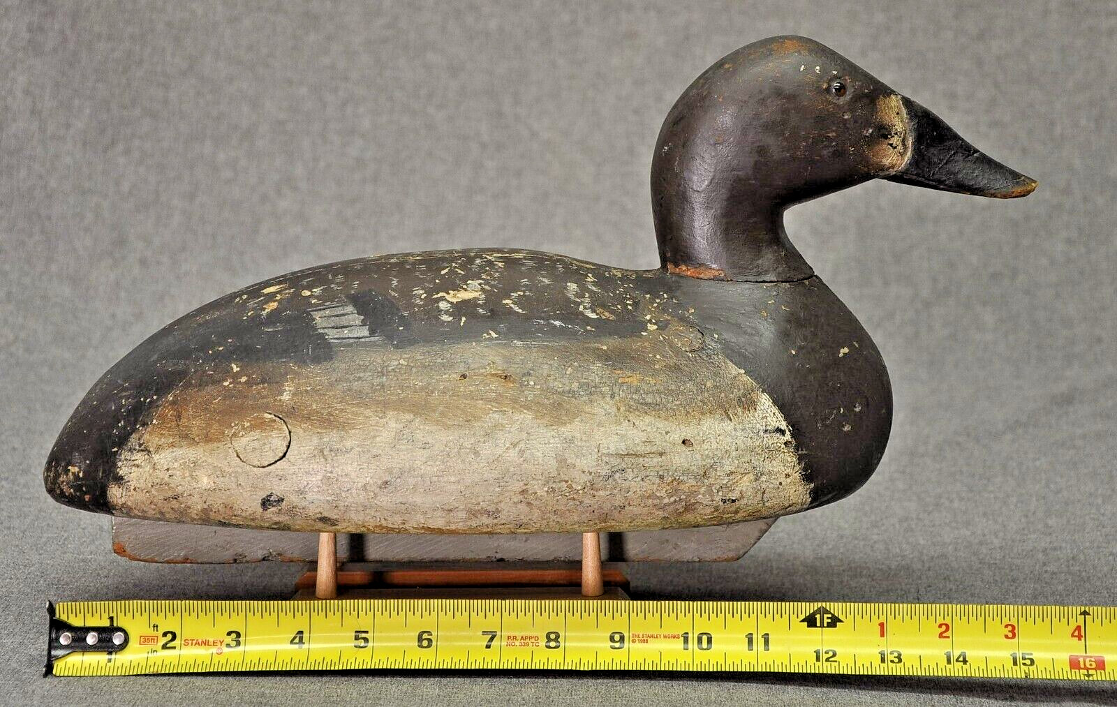 RARE TURTLE BACK ED “ONE ARM KELLIE” CANVASBACK HEN duck decoy 1900’s-10’s OP