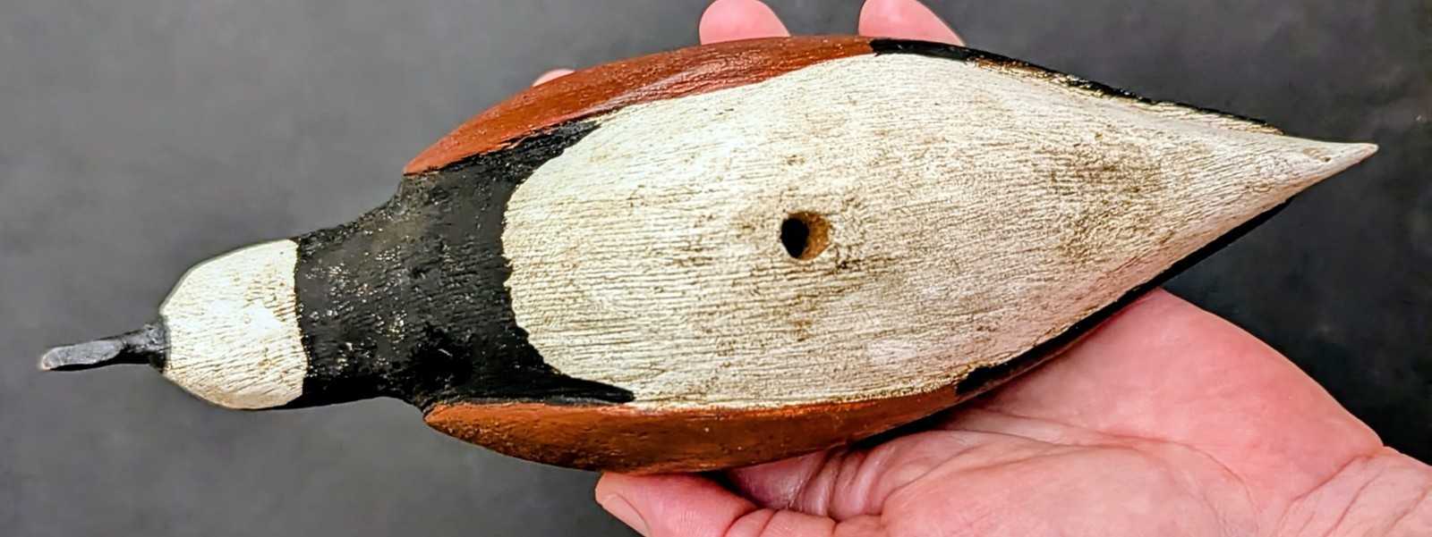 Oriental, NC Ruddy Turnstone Shorebird Decoy Dated 7/86 Split Tail, Carved Eyes