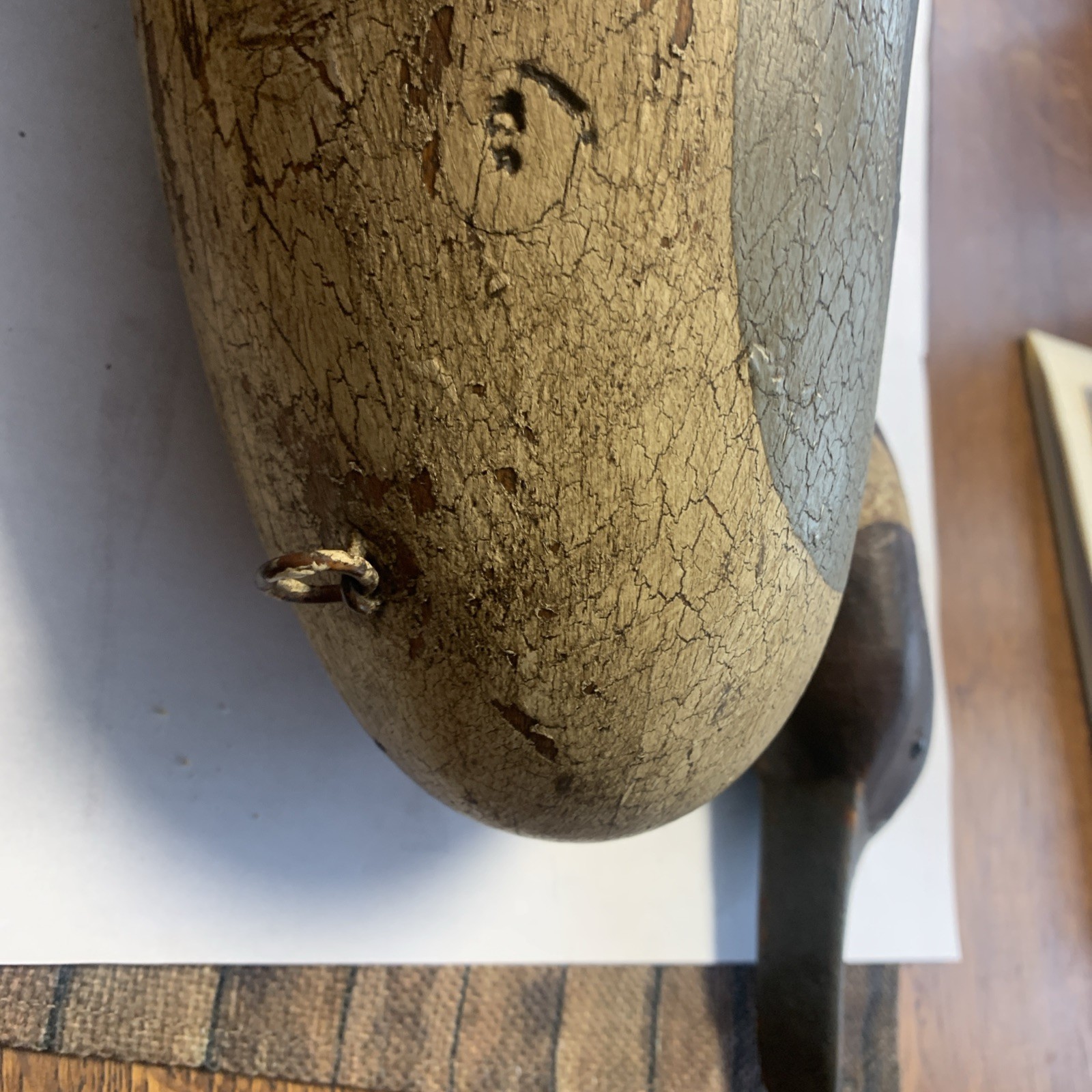 Back Bay,Virginia Pintail Duck Decoy