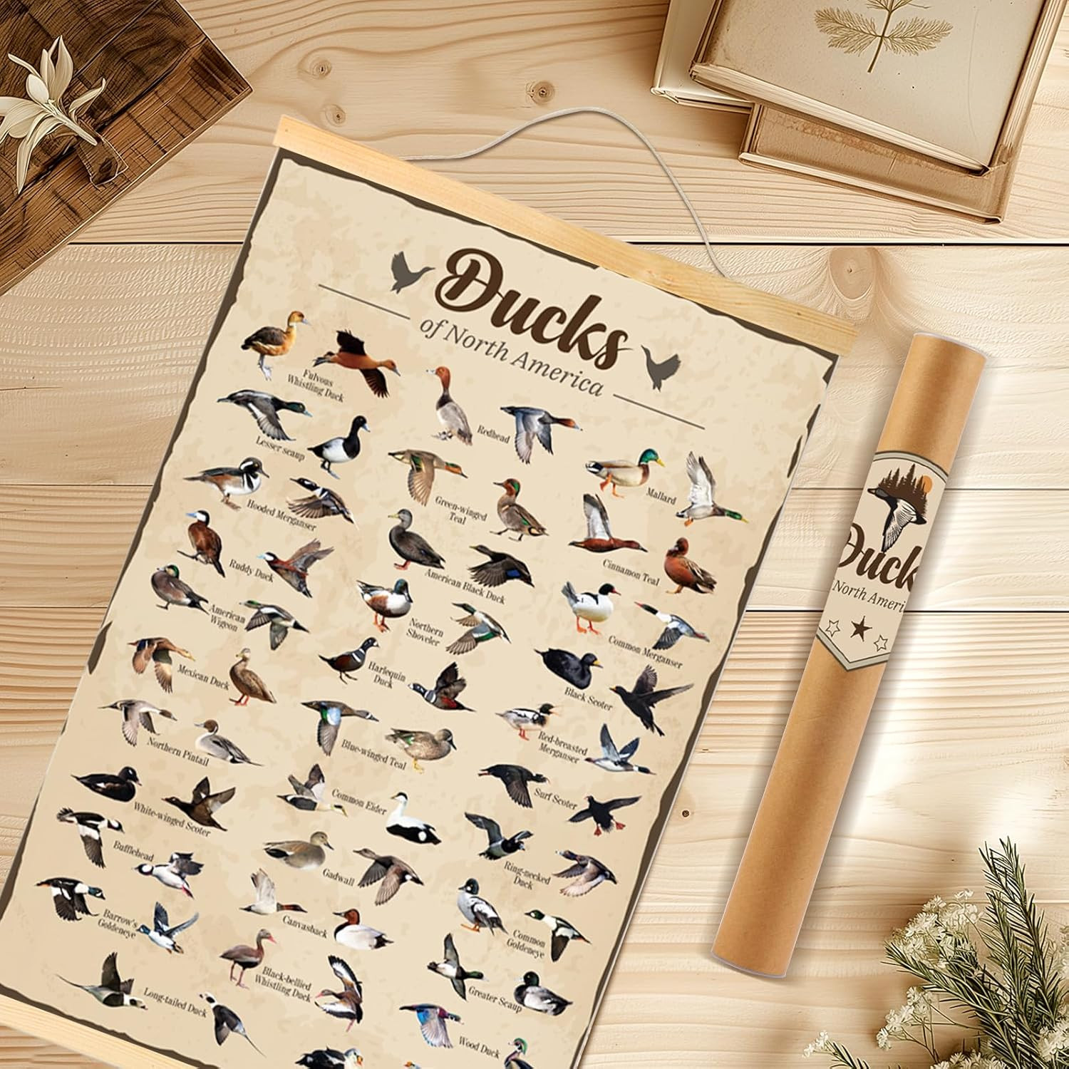 Duck Hunting Gifts for Men Type Of Duck Poster Duck Hunting Decor Mallard Ducks