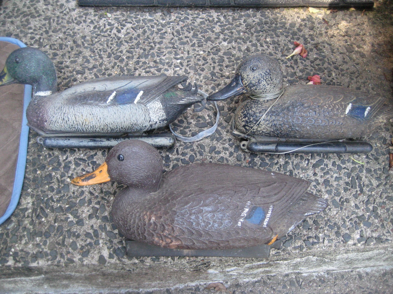 Lot of 3 floating decoy ducks plastic multi color used Sport Plast Flambeau