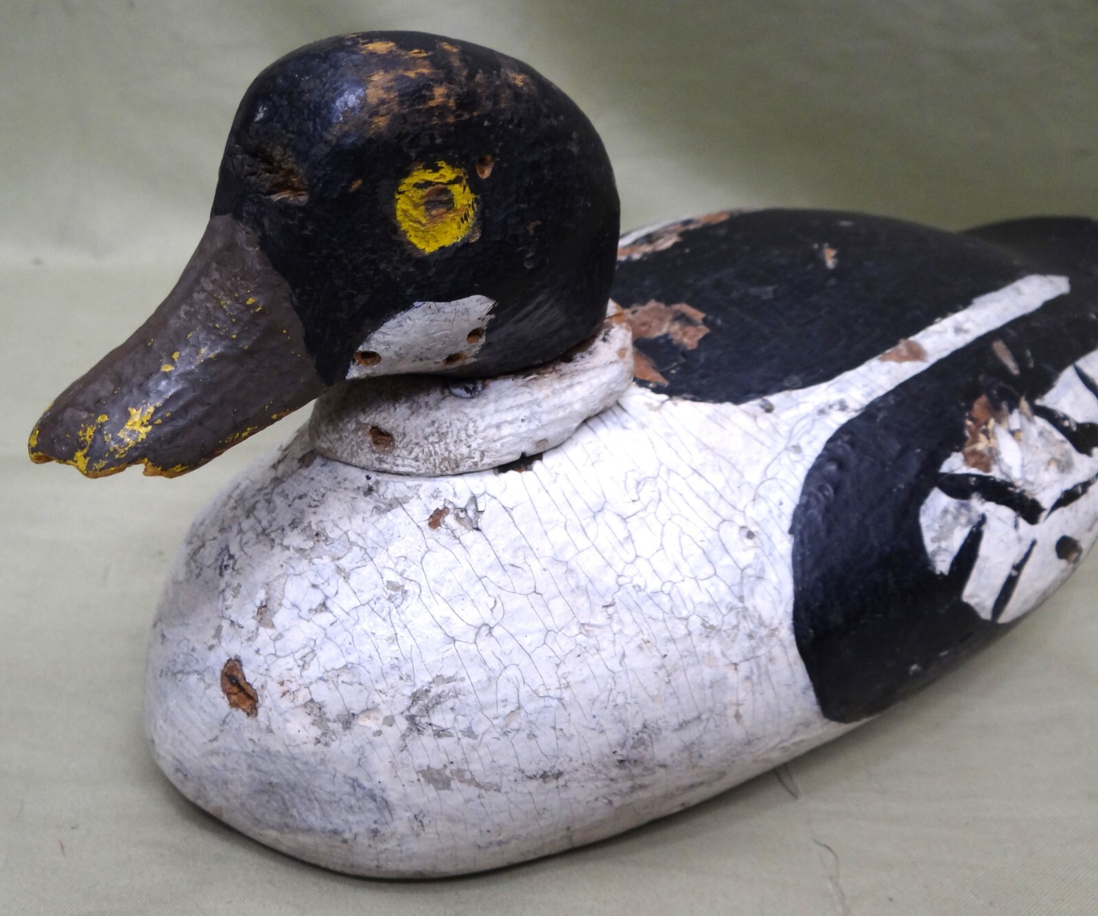 Old Working Goldeneye Drake, C. 1900