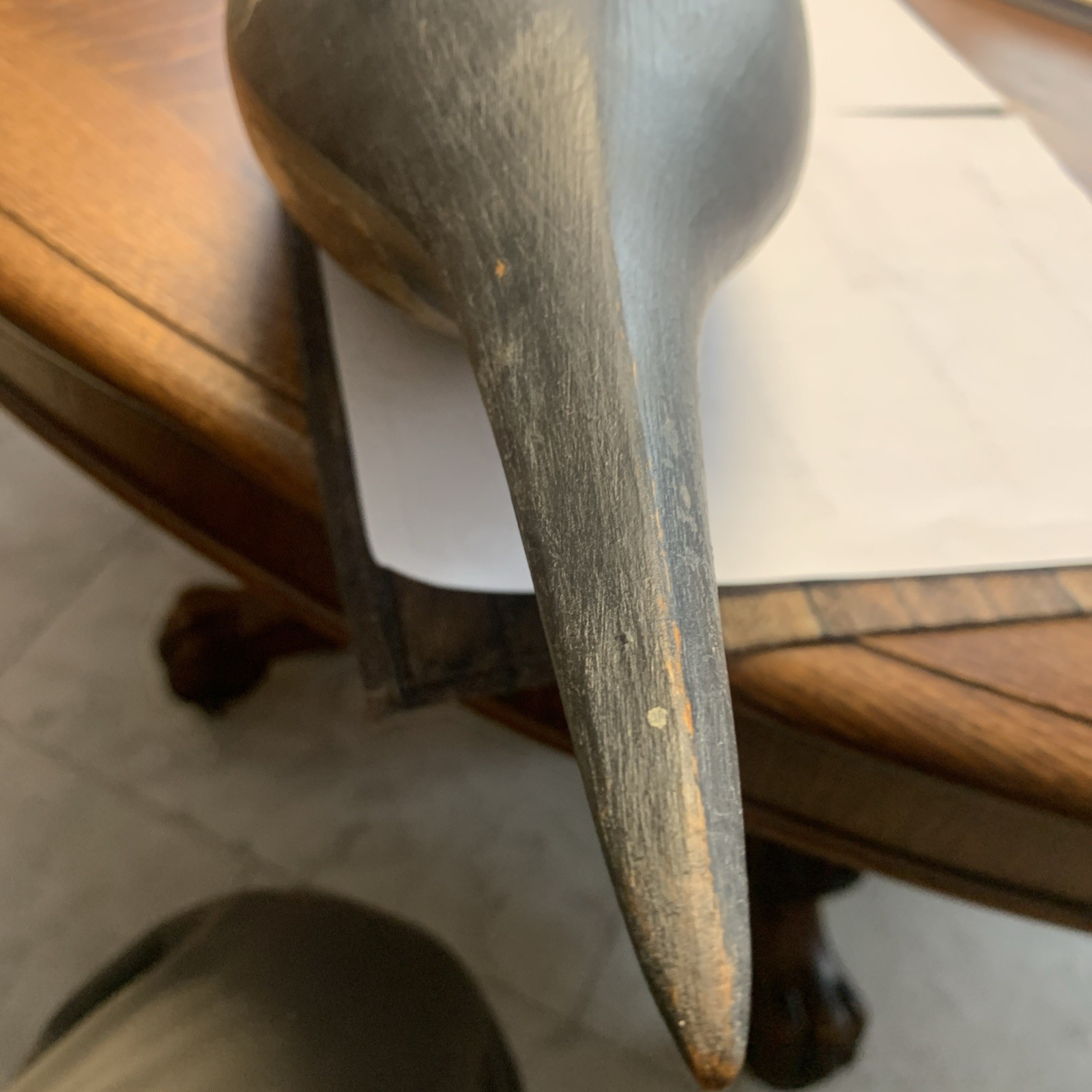 Back Bay,Virginia Pintail Duck Decoy