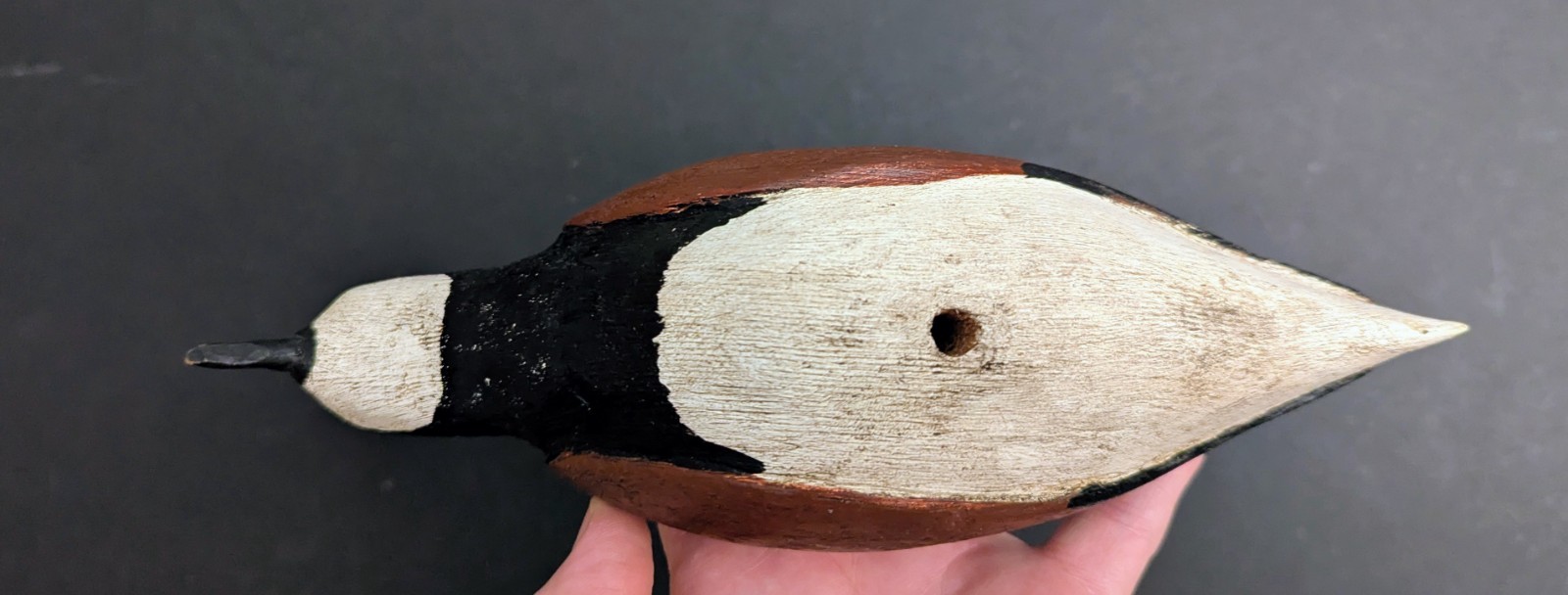 Oriental, NC Ruddy Turnstone Shorebird Decoy Dated 7/86 Split Tail, Carved Eyes