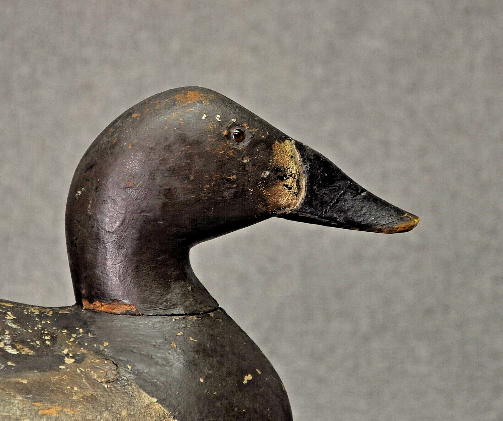 RARE TURTLE BACK ED “ONE ARM KELLIE” CANVASBACK HEN duck decoy 1900’s-10’s OP