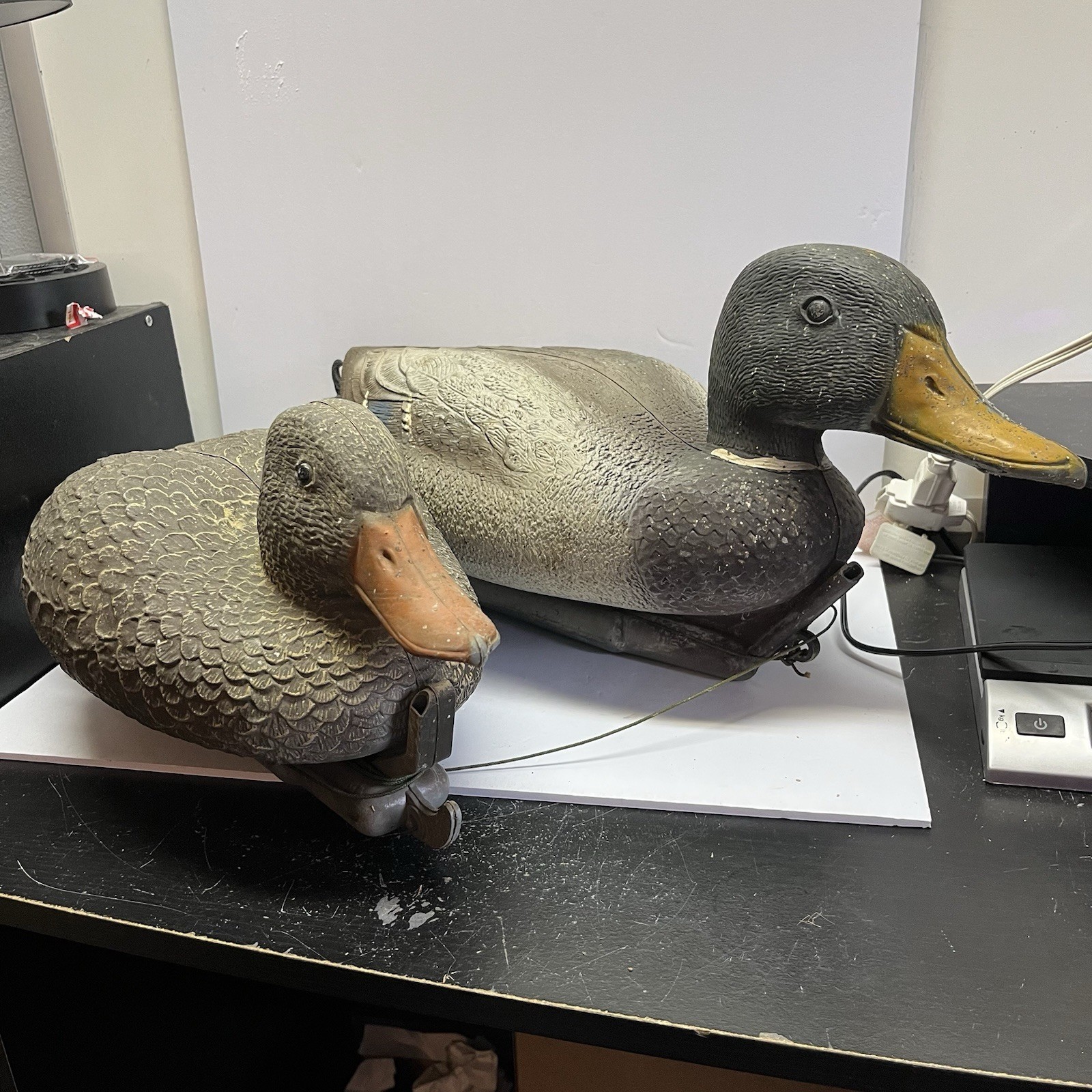 2 VTG Magnum Carry-Lite Salesman MALLARD DUCK Decoys SPORT PLAST – Made In Italy
